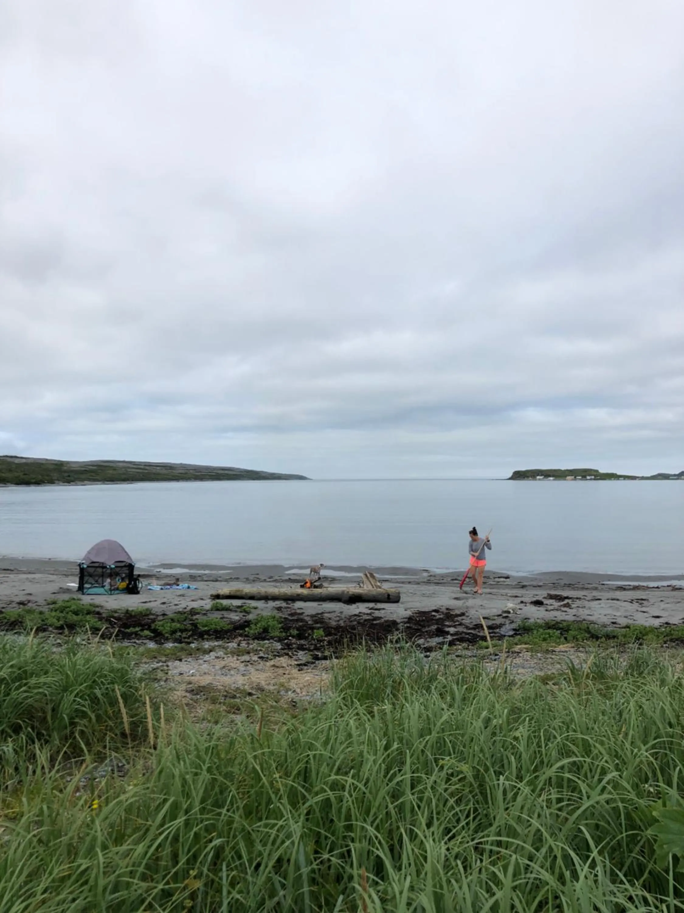 Raleigh Rooms & Taylor's Crafts