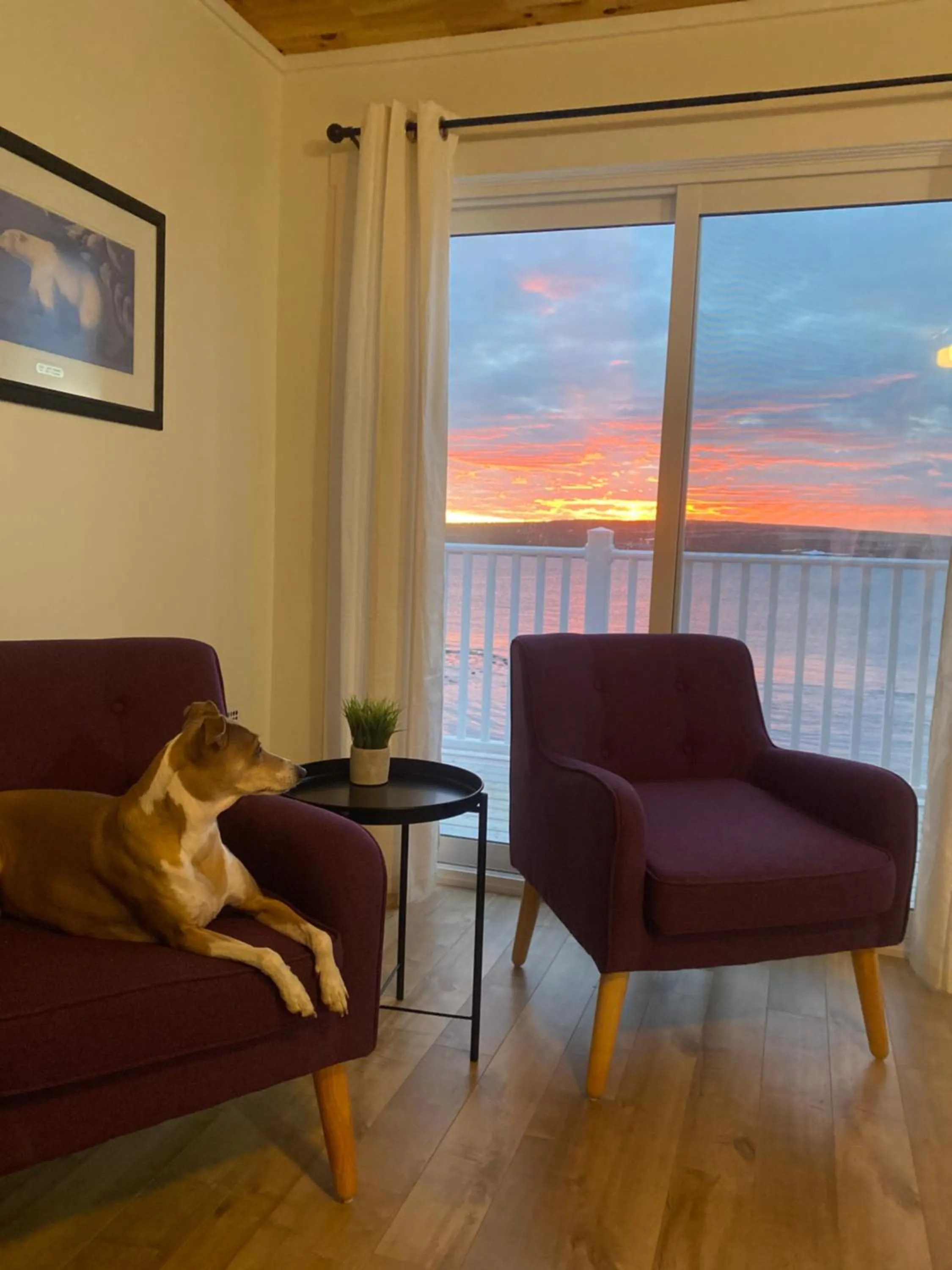 Raleigh Rooms & Taylor's Crafts