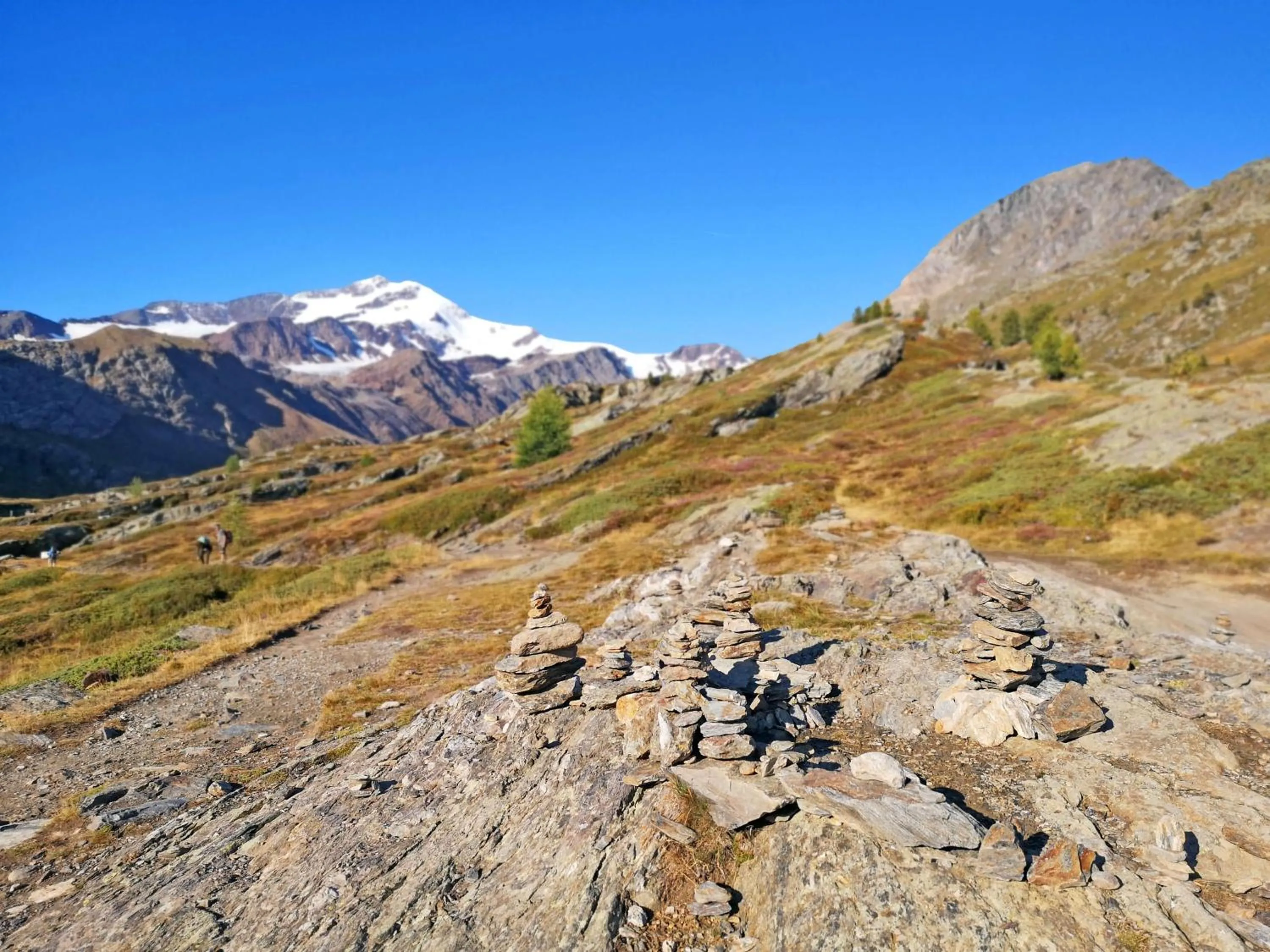 Natural landscape in Residence Sonneck