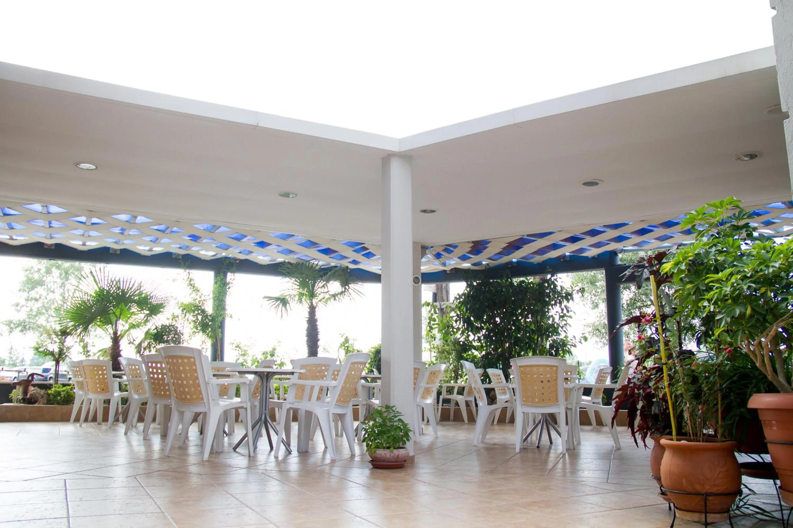 Garden in Hotel Rodon