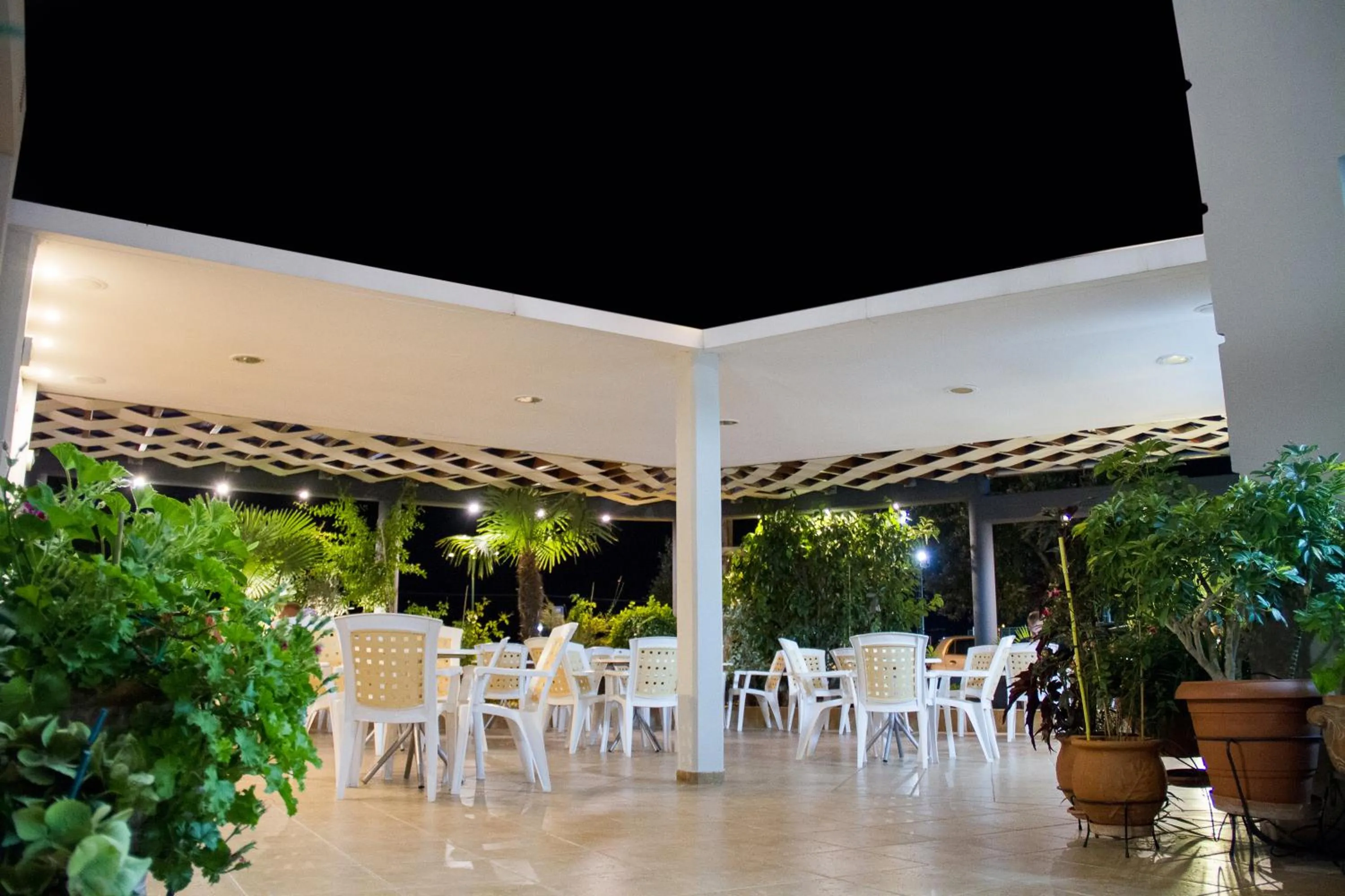 Garden in Hotel Rodon