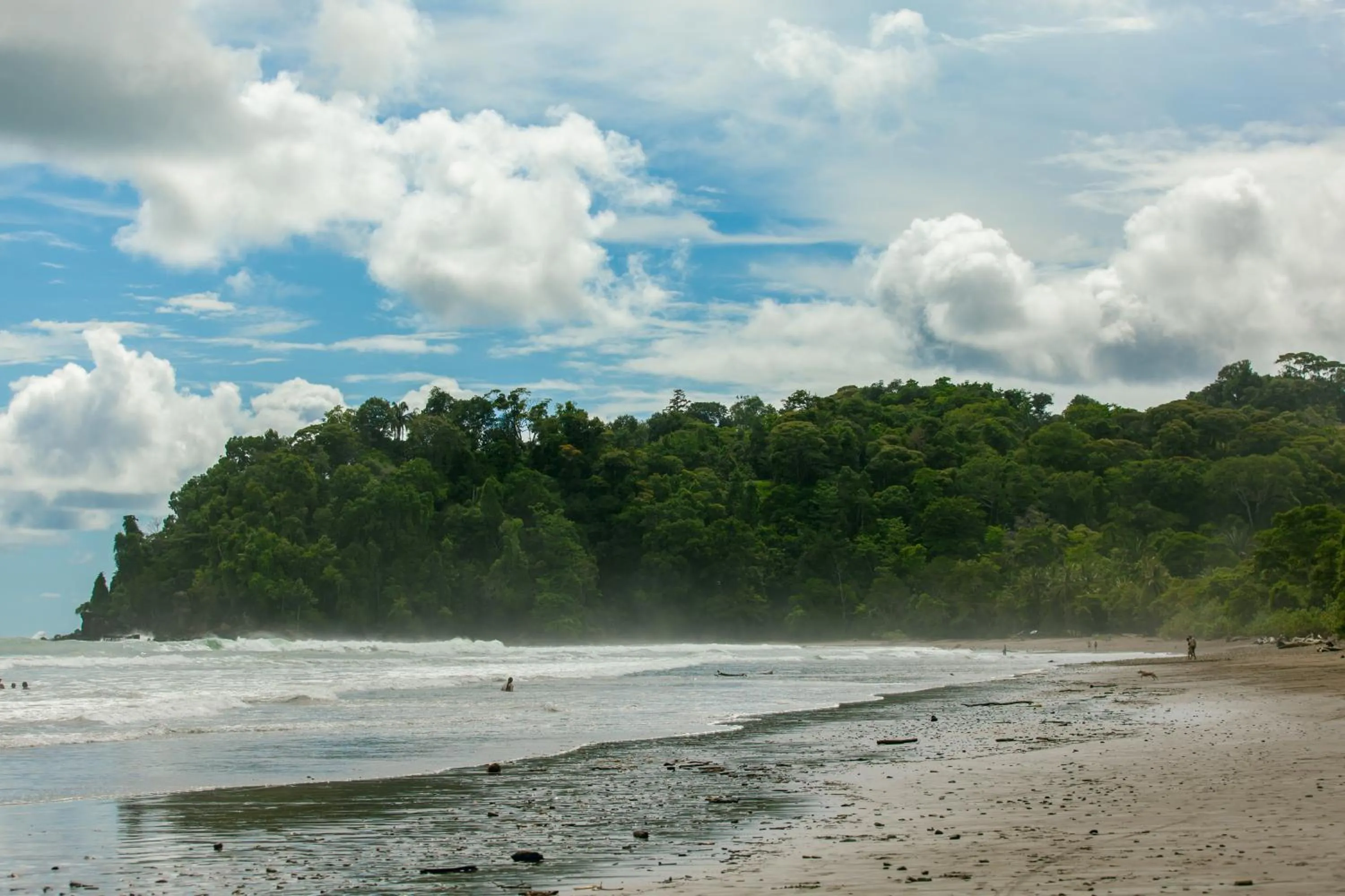 Natural landscape in Bungalows Ballena
