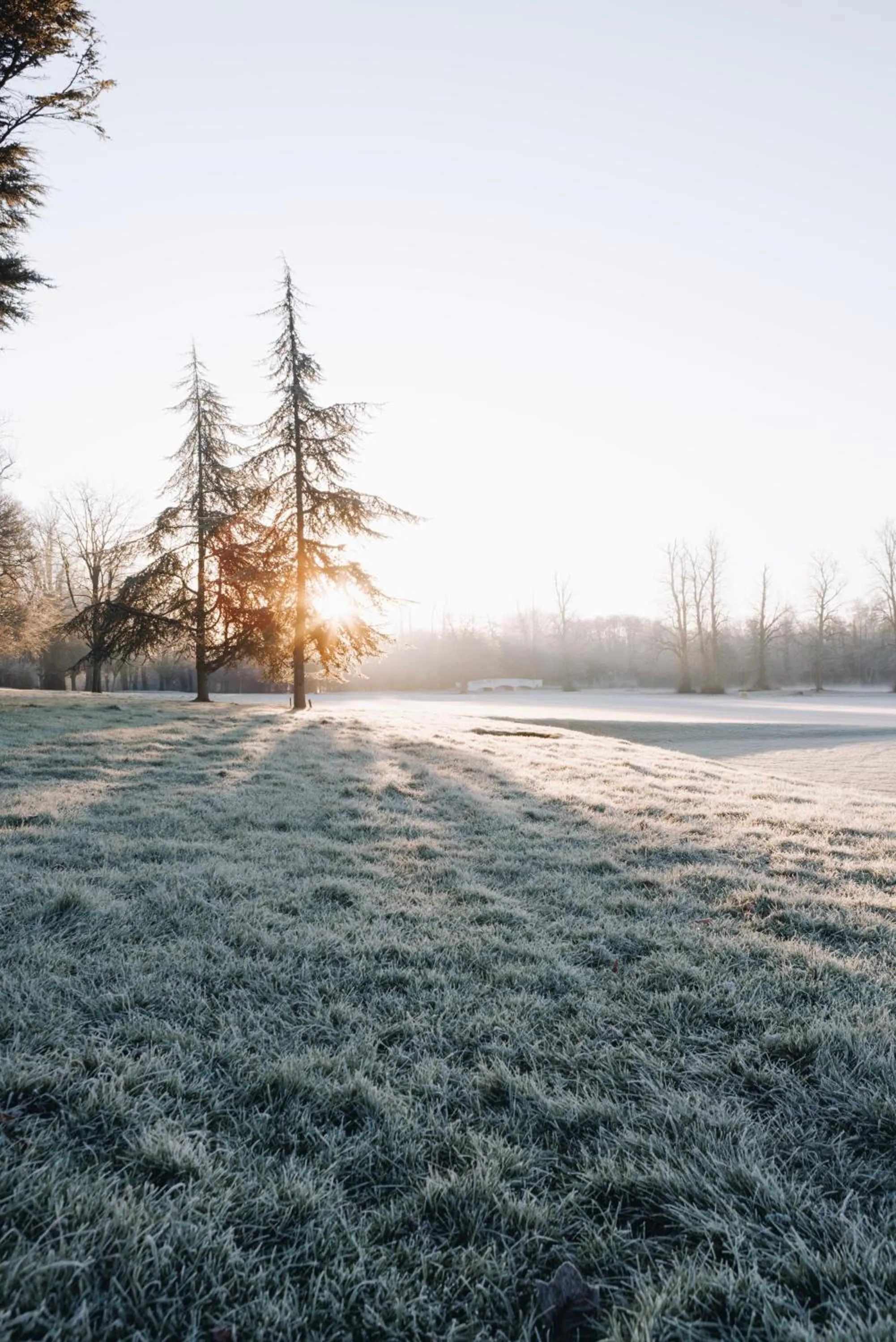 Natural landscape in Donnington Grove Hotel & Golf Club