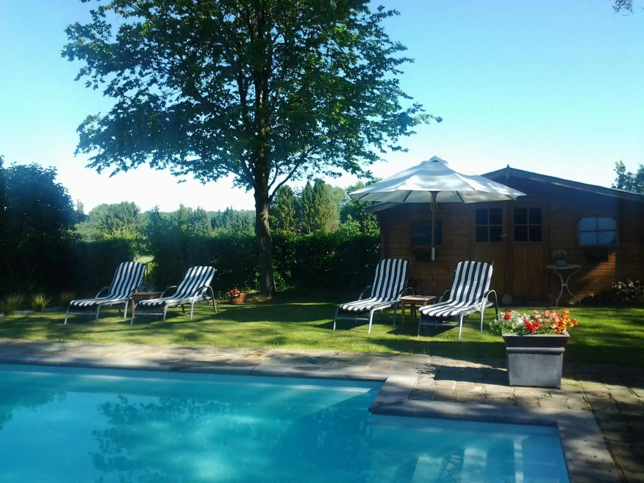 Pool view in B&B La Buissonniere