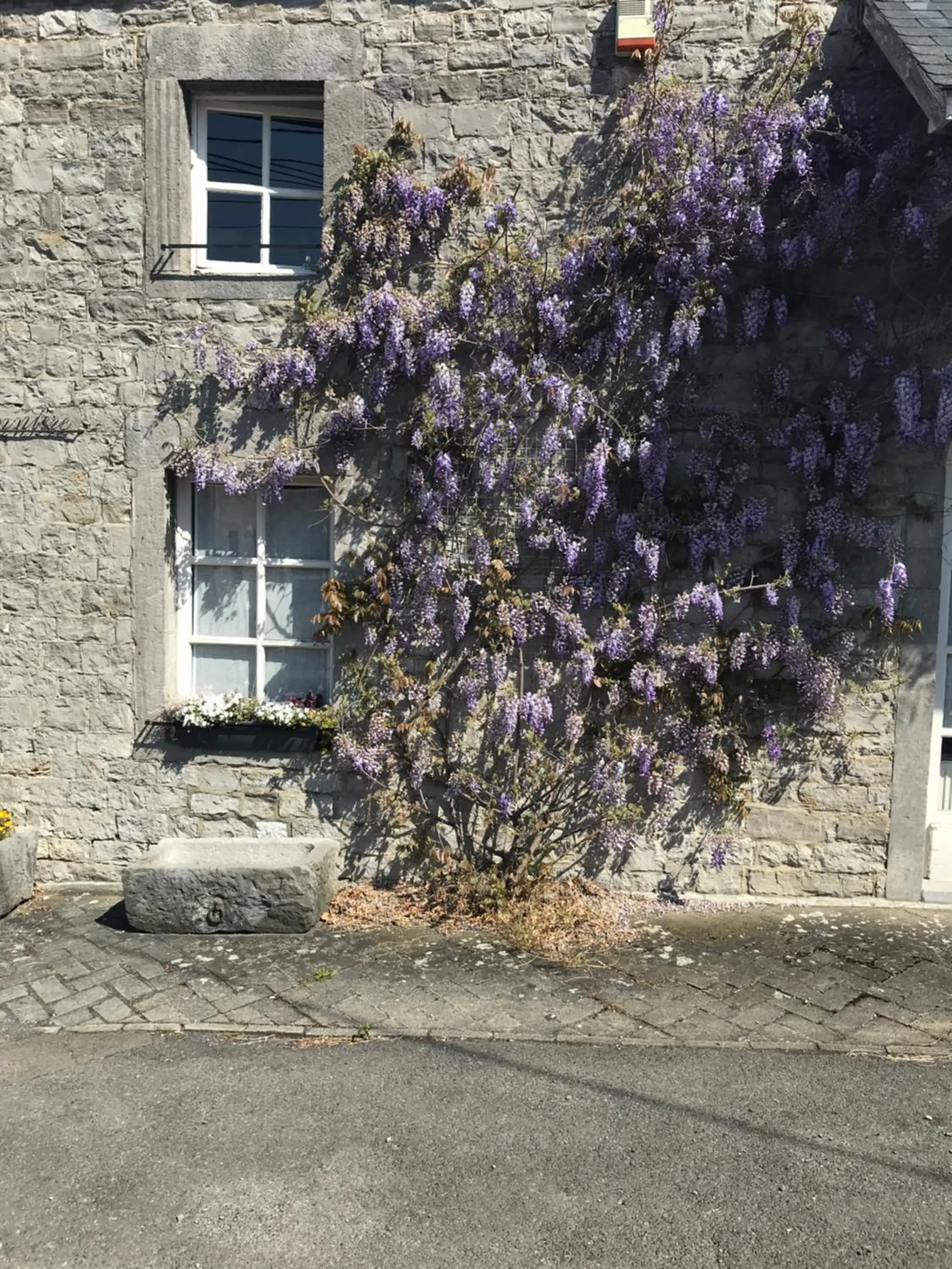 Facade/entrance in B&B La Buissonniere