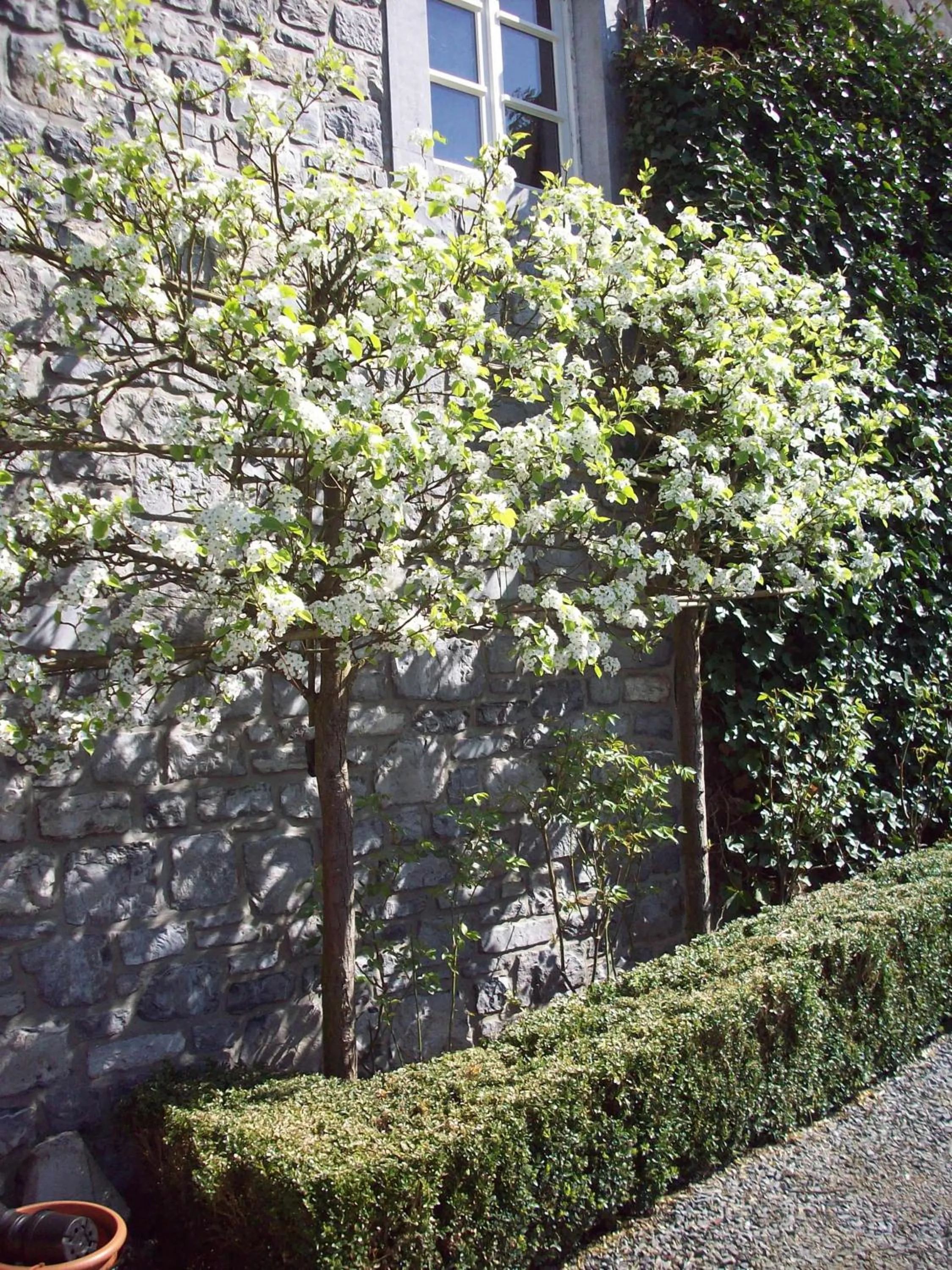 Garden in B&B La Buissonniere