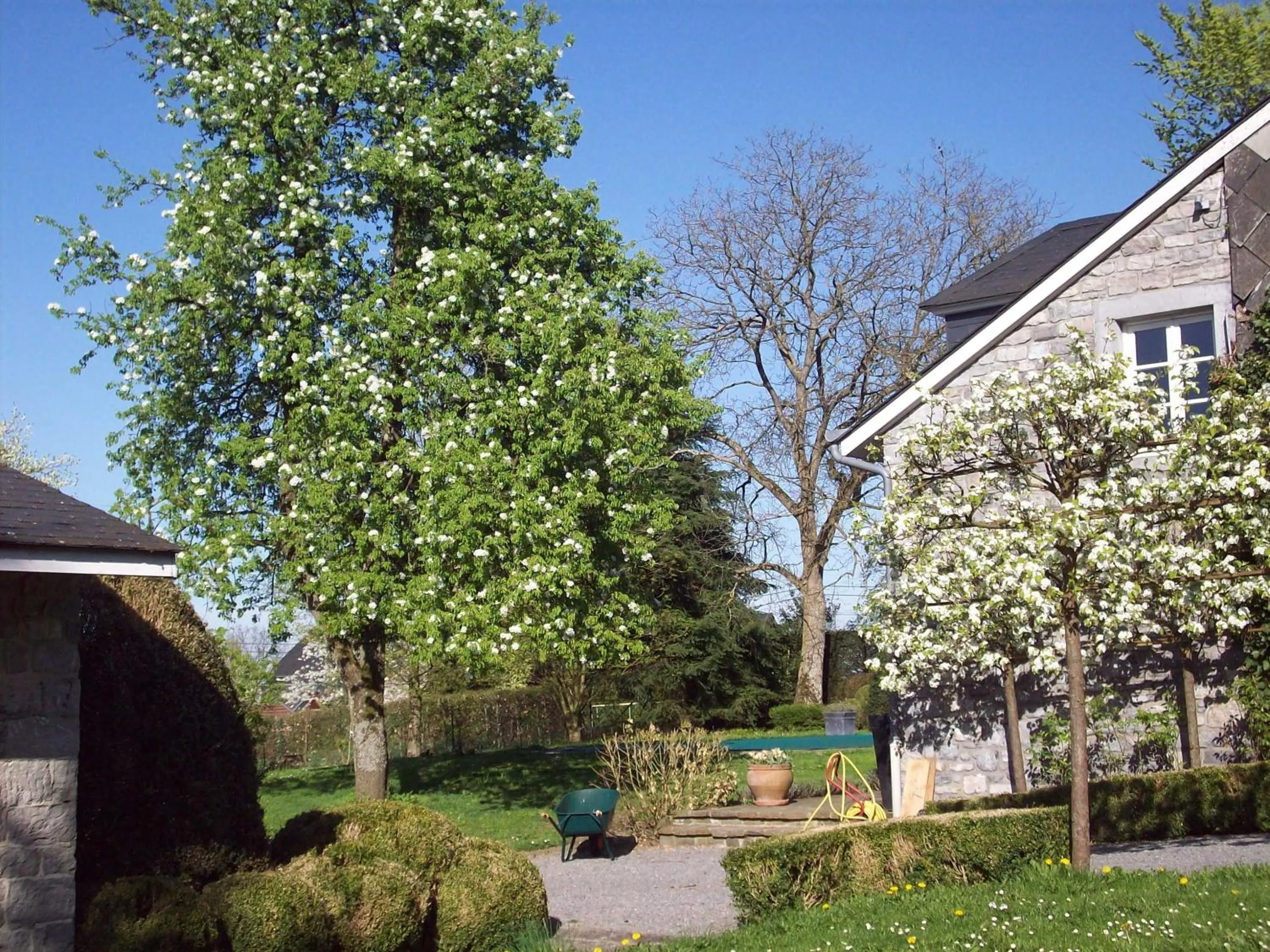 Garden in B&B La Buissonniere