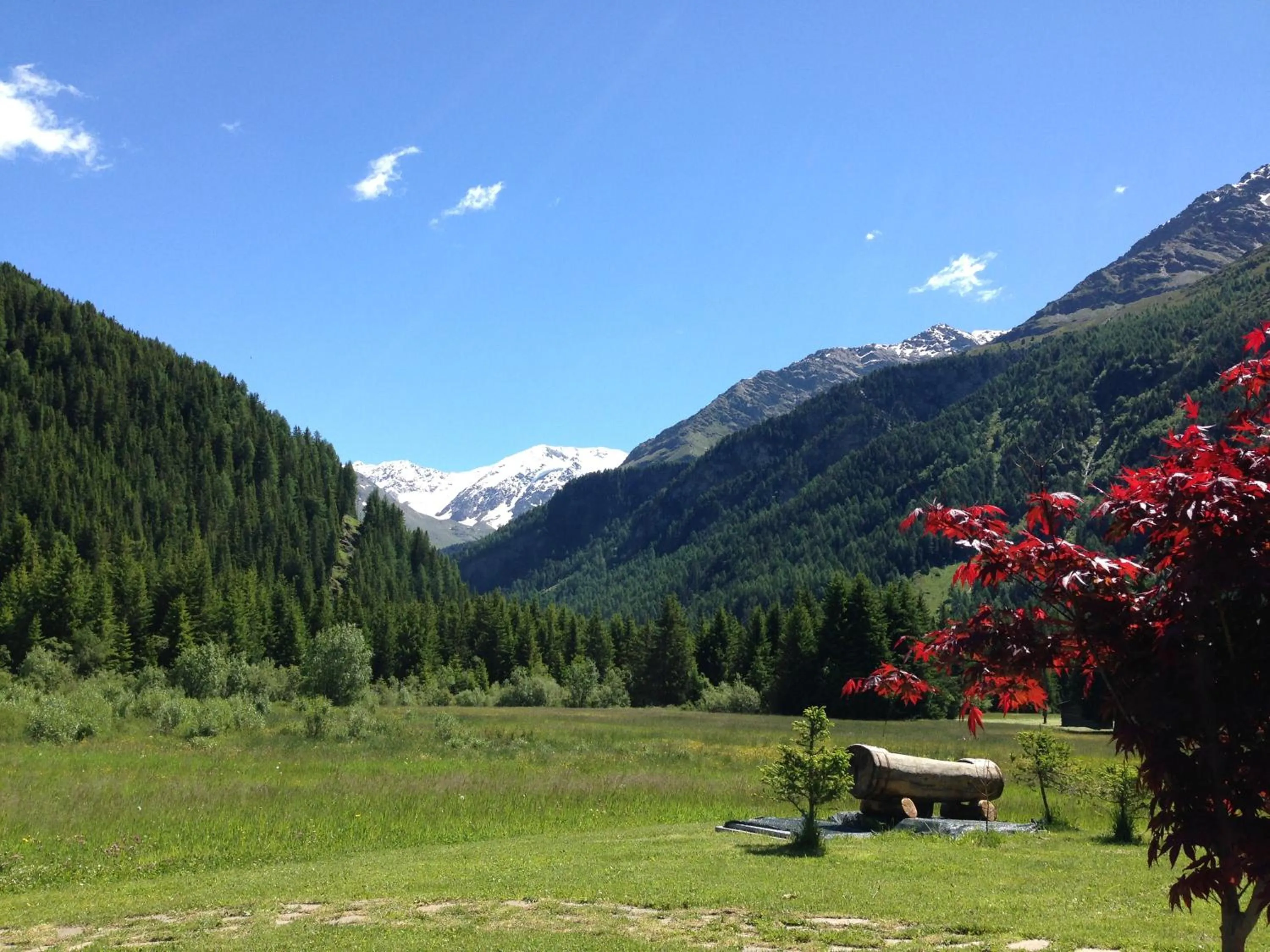 Mountain view in Chalet Bucaneve