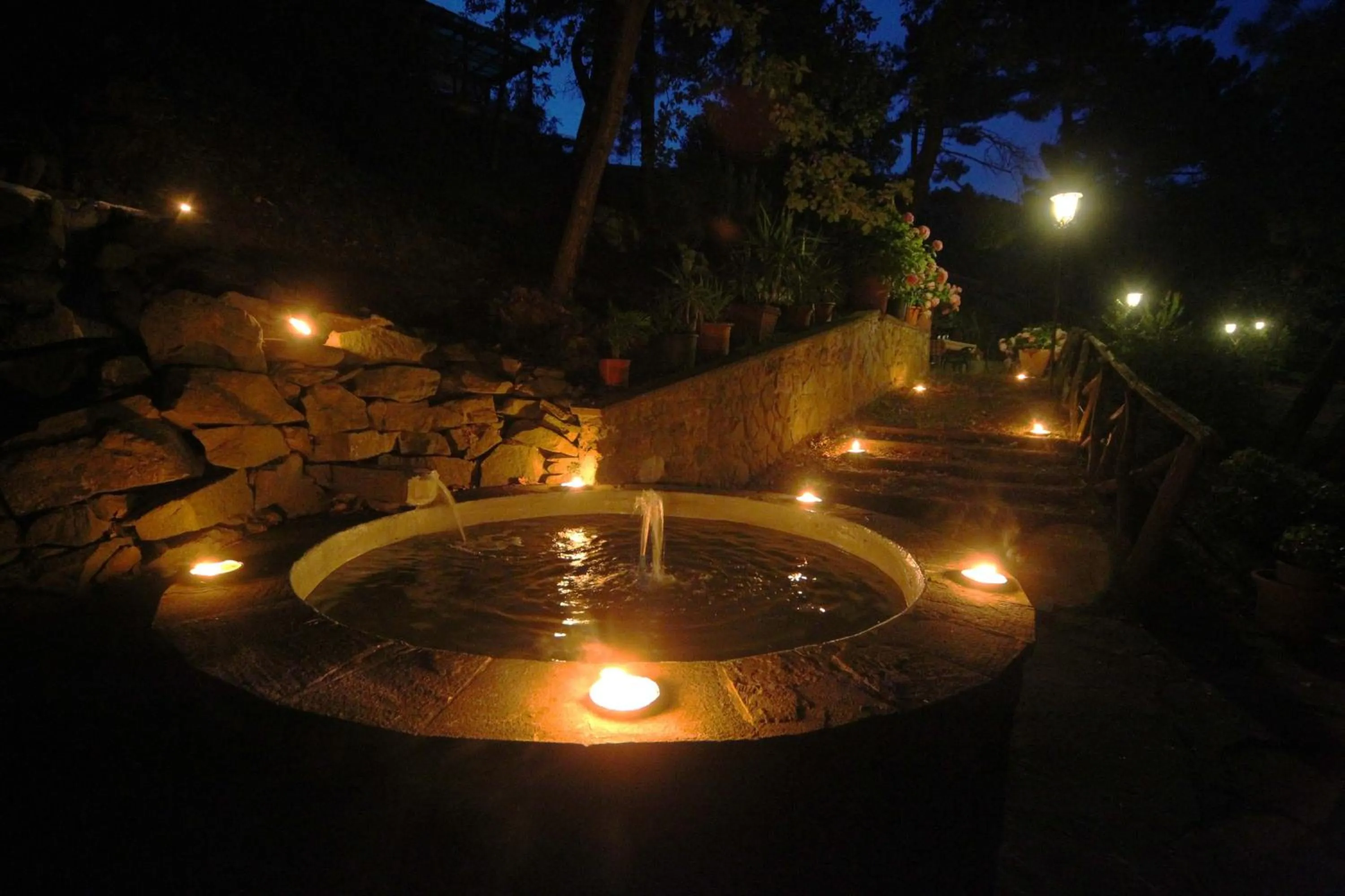 Garden in Hotel Archimede