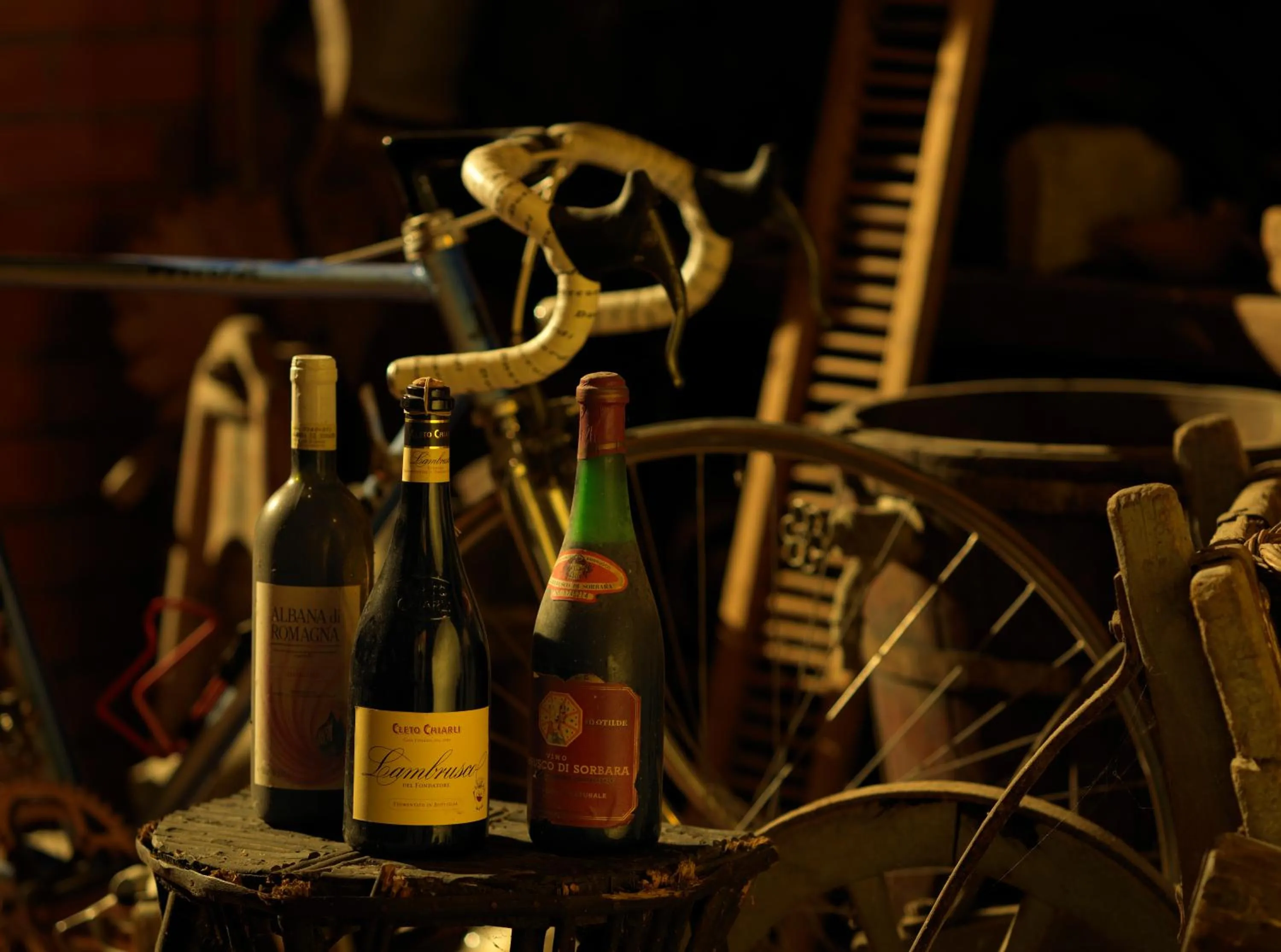 Entertainment in Hotel Archimede