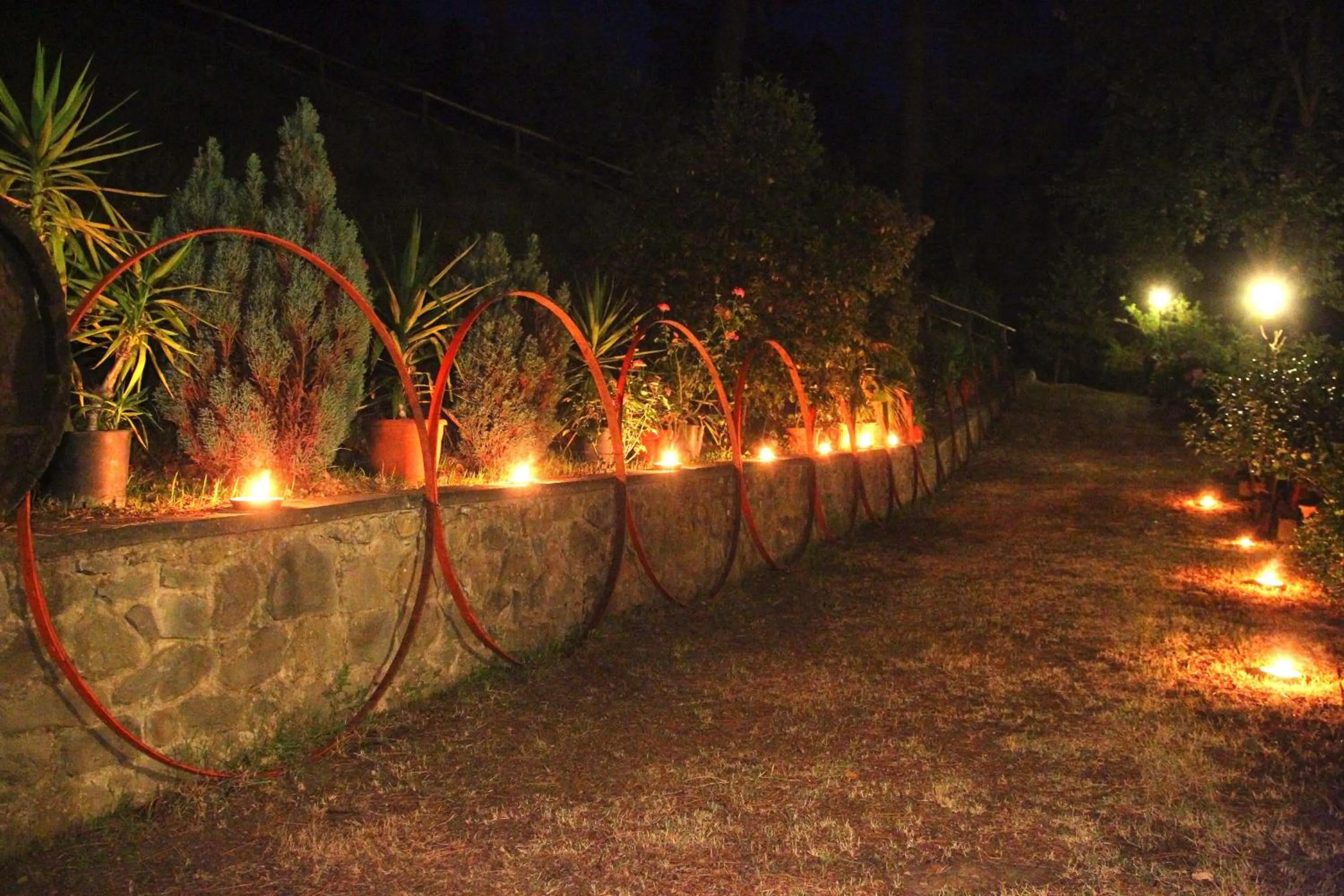 Garden in Hotel Archimede