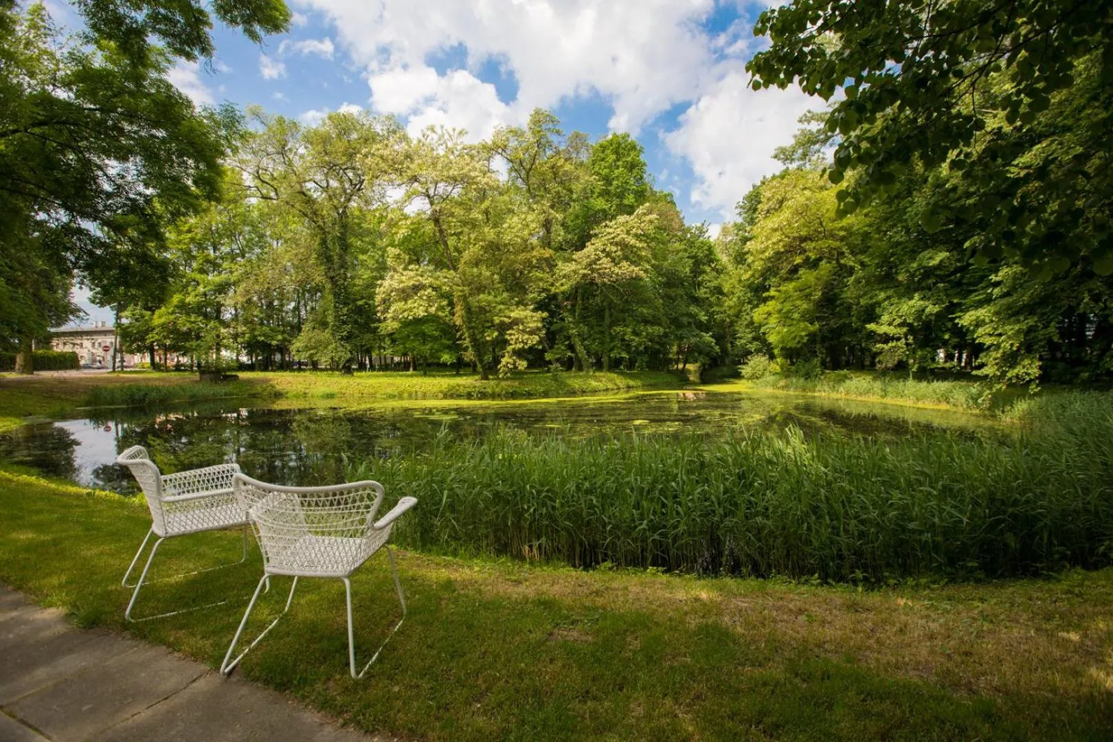 Natural landscape in Pałac Pakosław
