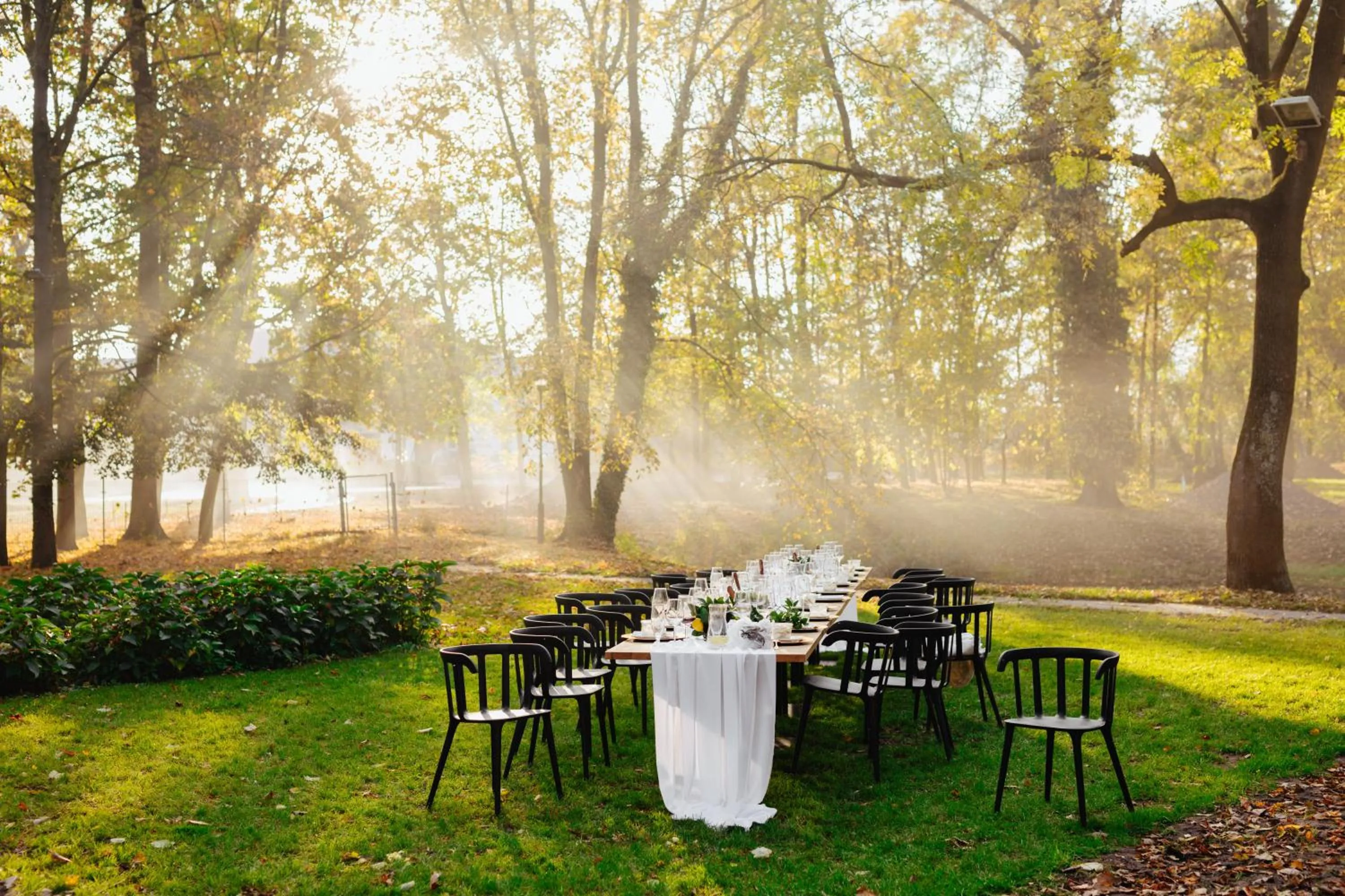 Garden in Pałac Pakosław
