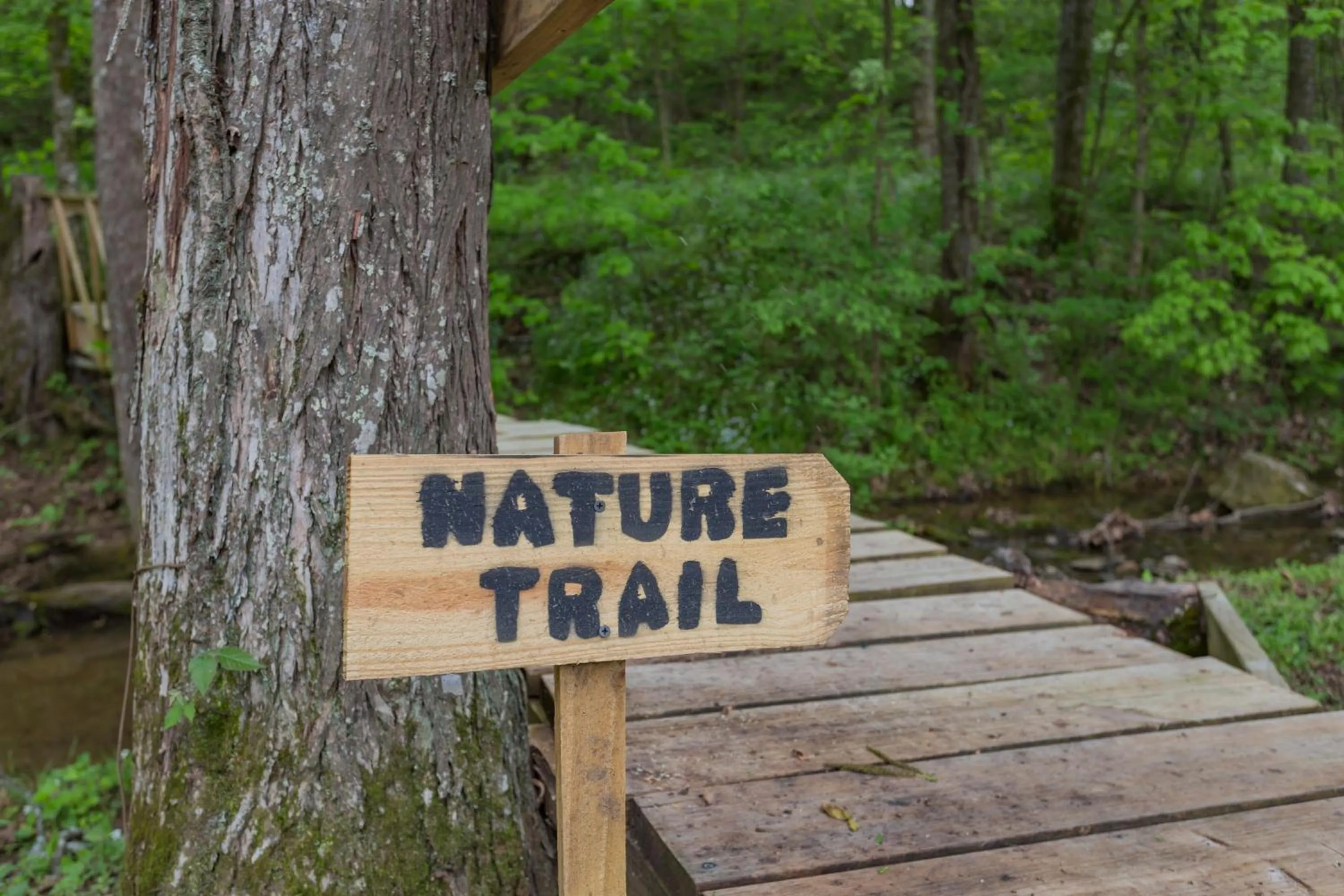 Hiking in Brenda Lee History 4BR Retreat Pool Hot Tub