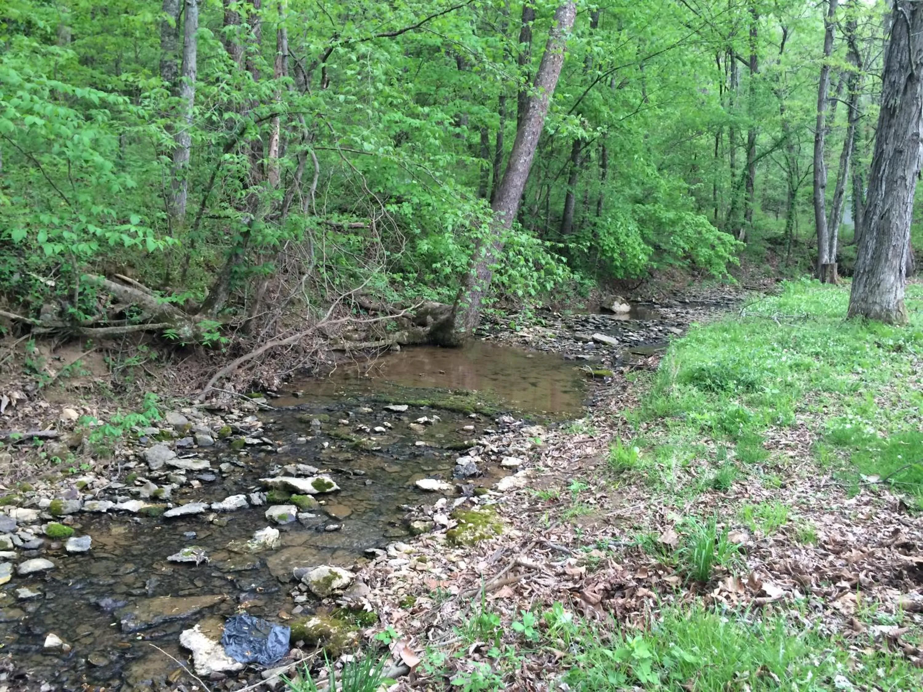 Natural landscape in Brenda Lee History 4BR Retreat Pool Hot Tub