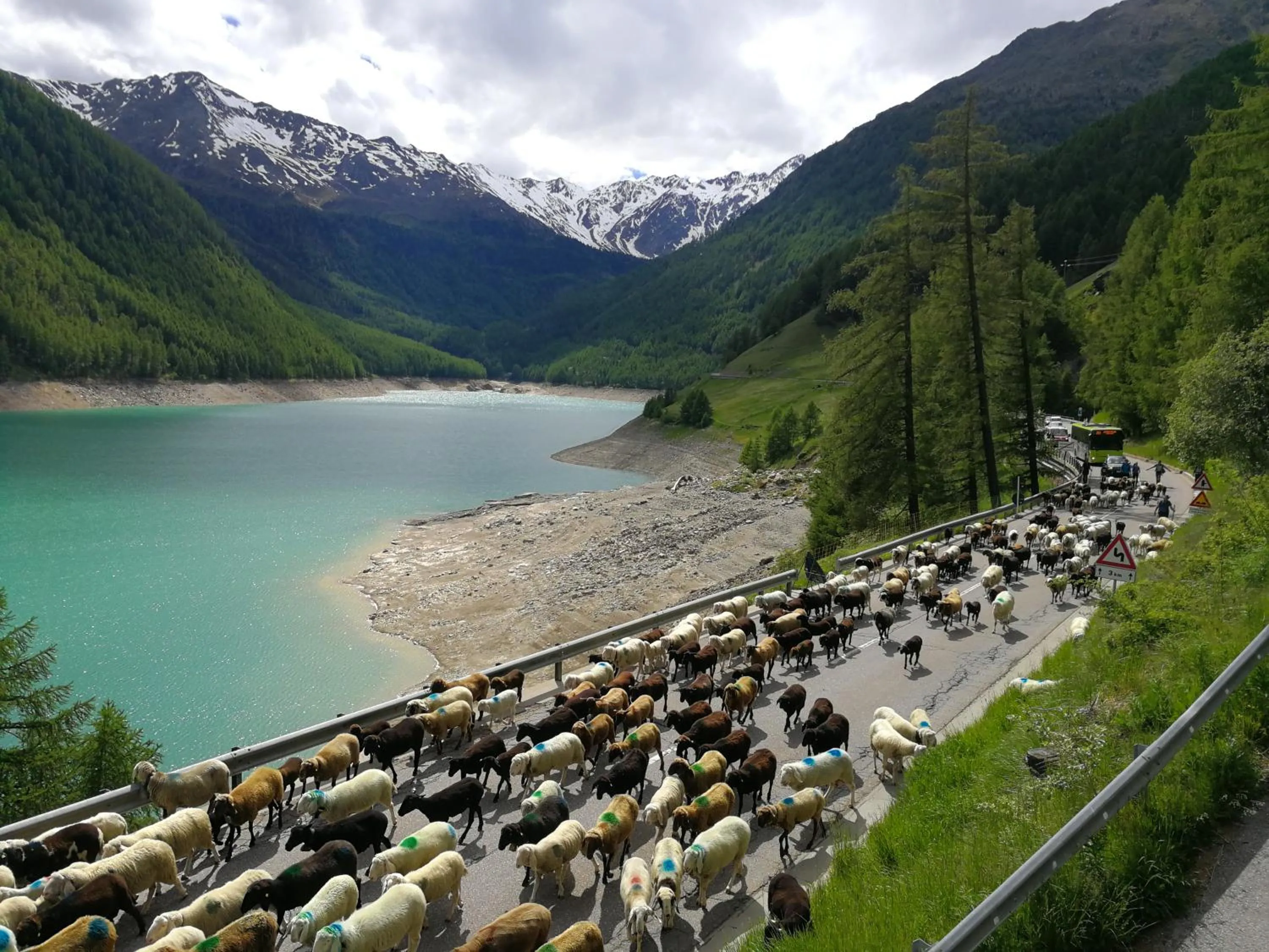 Natural landscape in Hotel Vernagt