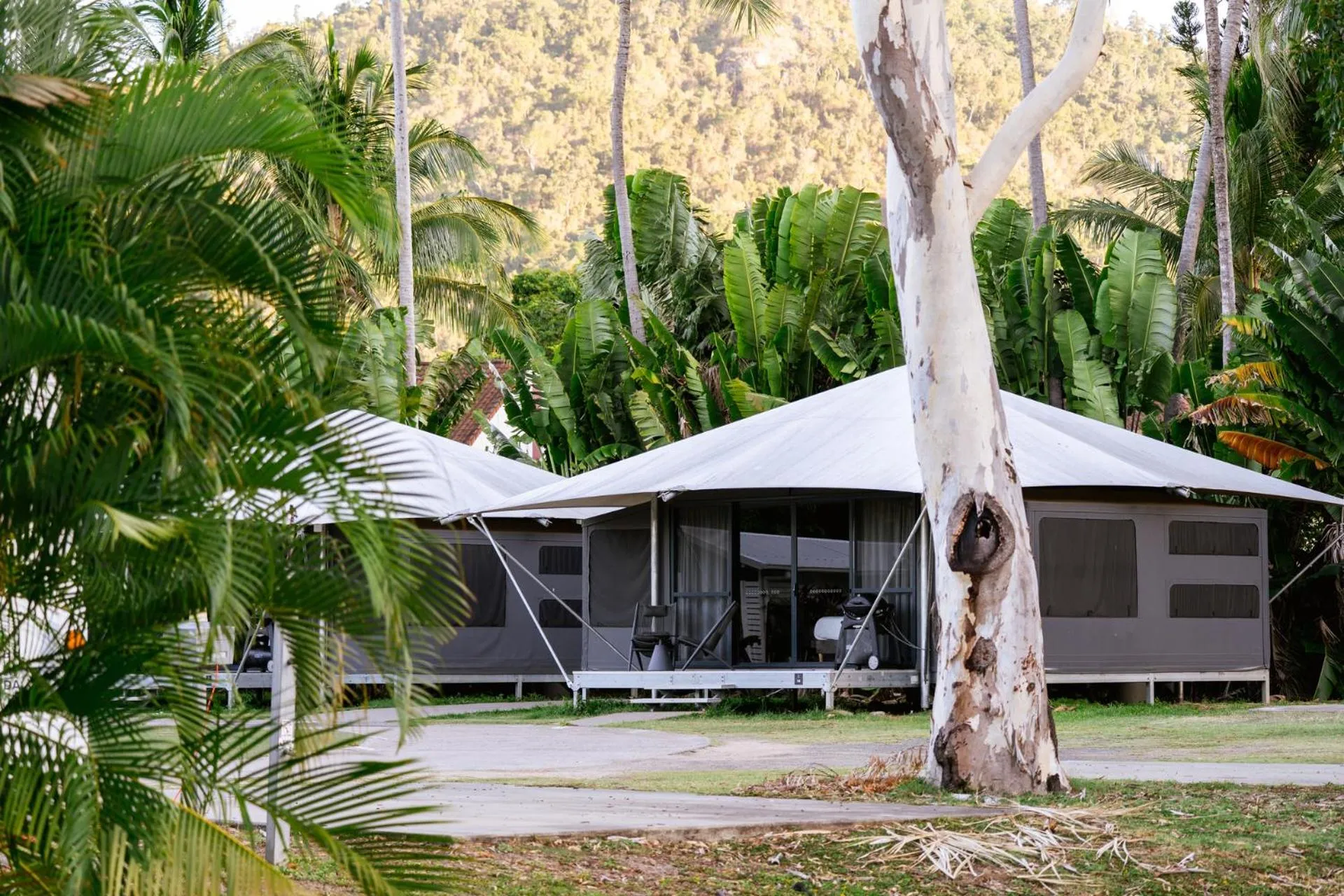 Property building in Tasman Holiday Parks - Airlie Beach