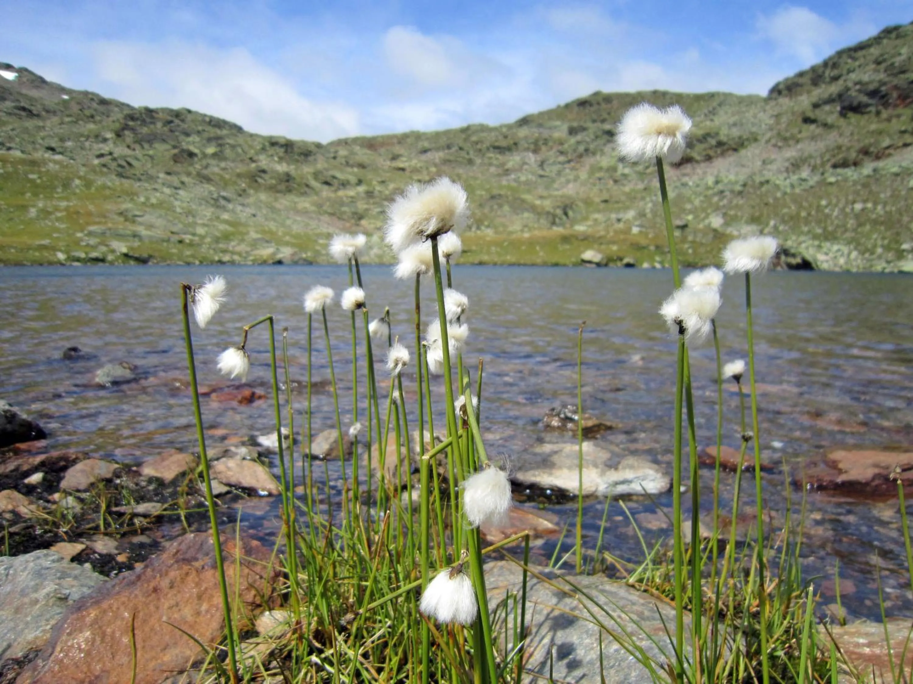 Natural landscape in Mühlrast