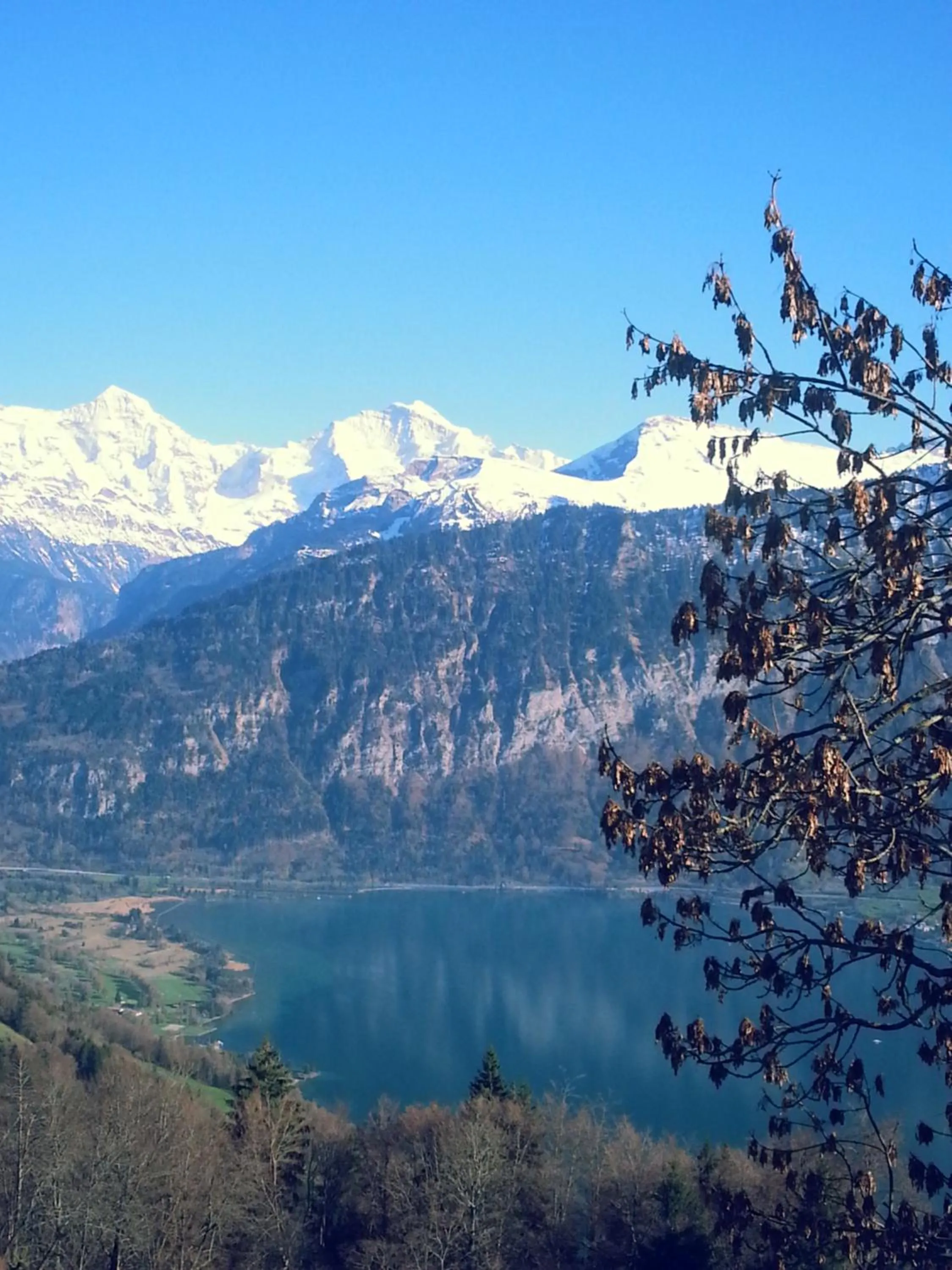 Natural landscape in Hotel Sterne