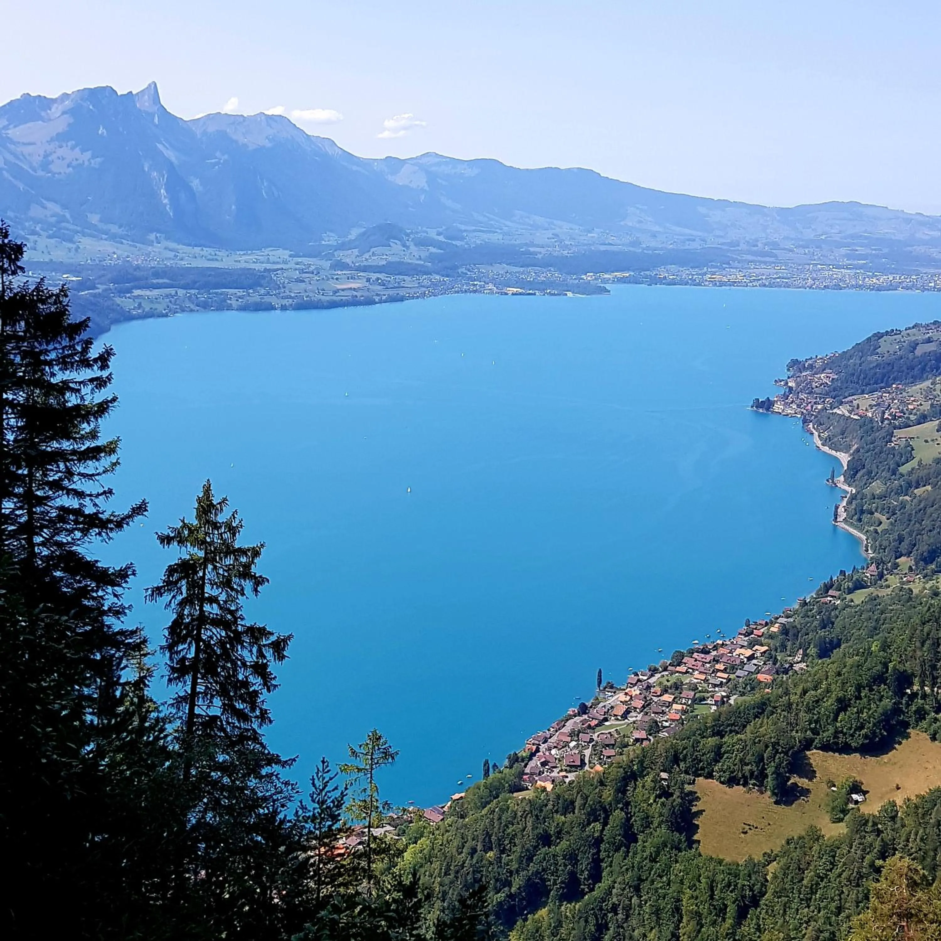 Natural landscape in Hotel Sterne