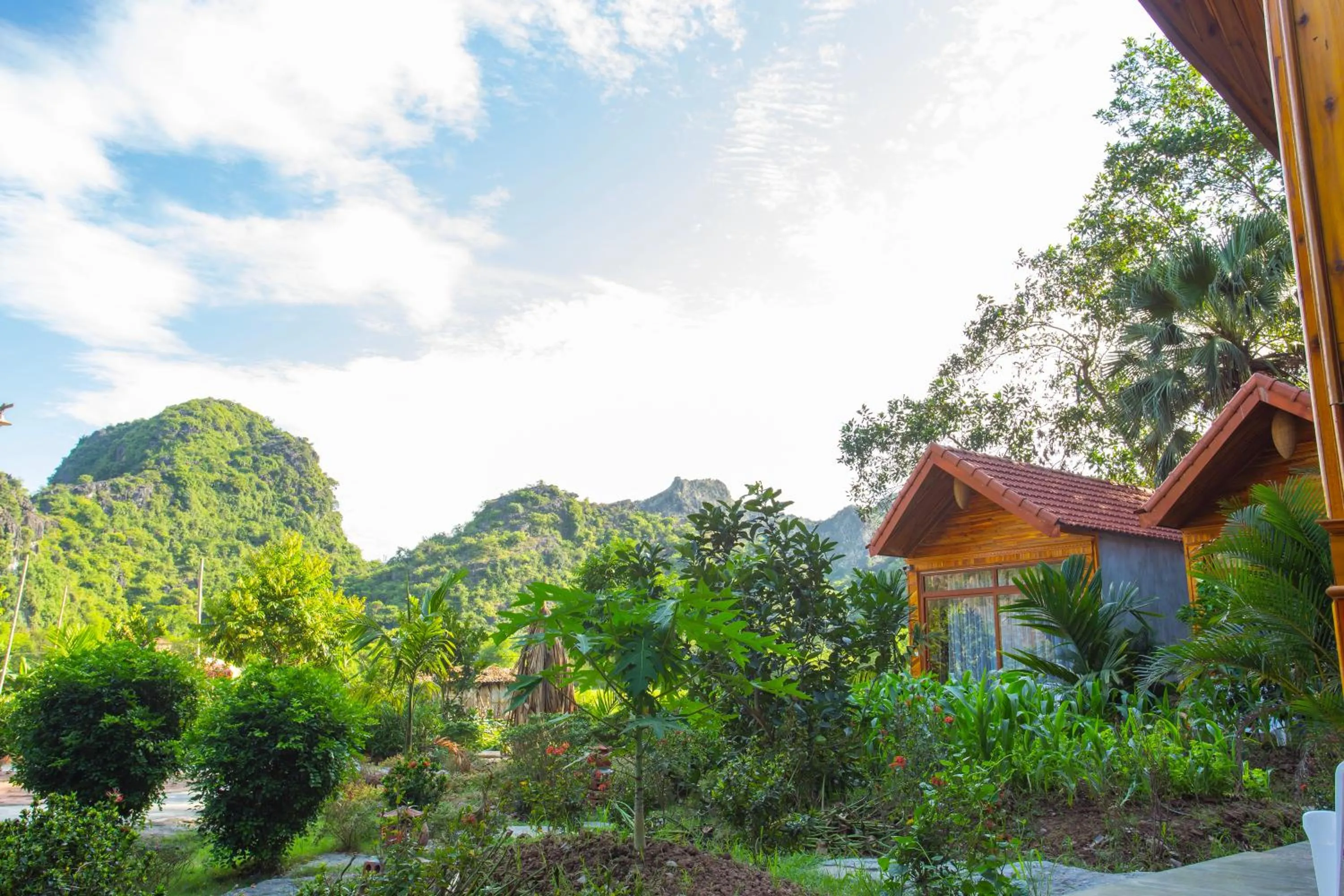 Property building in Green Mountain Homestay