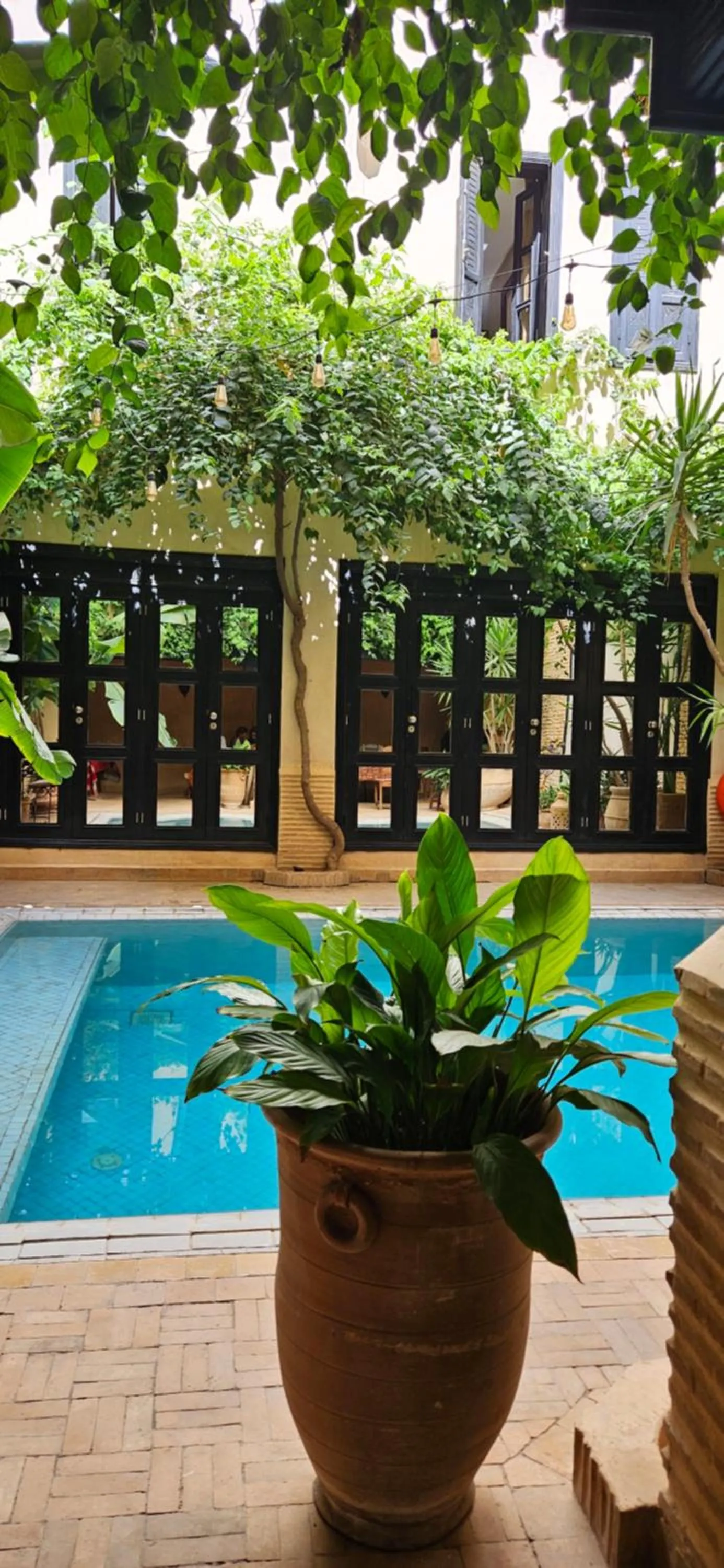 Pool view in Riad Dar Haven