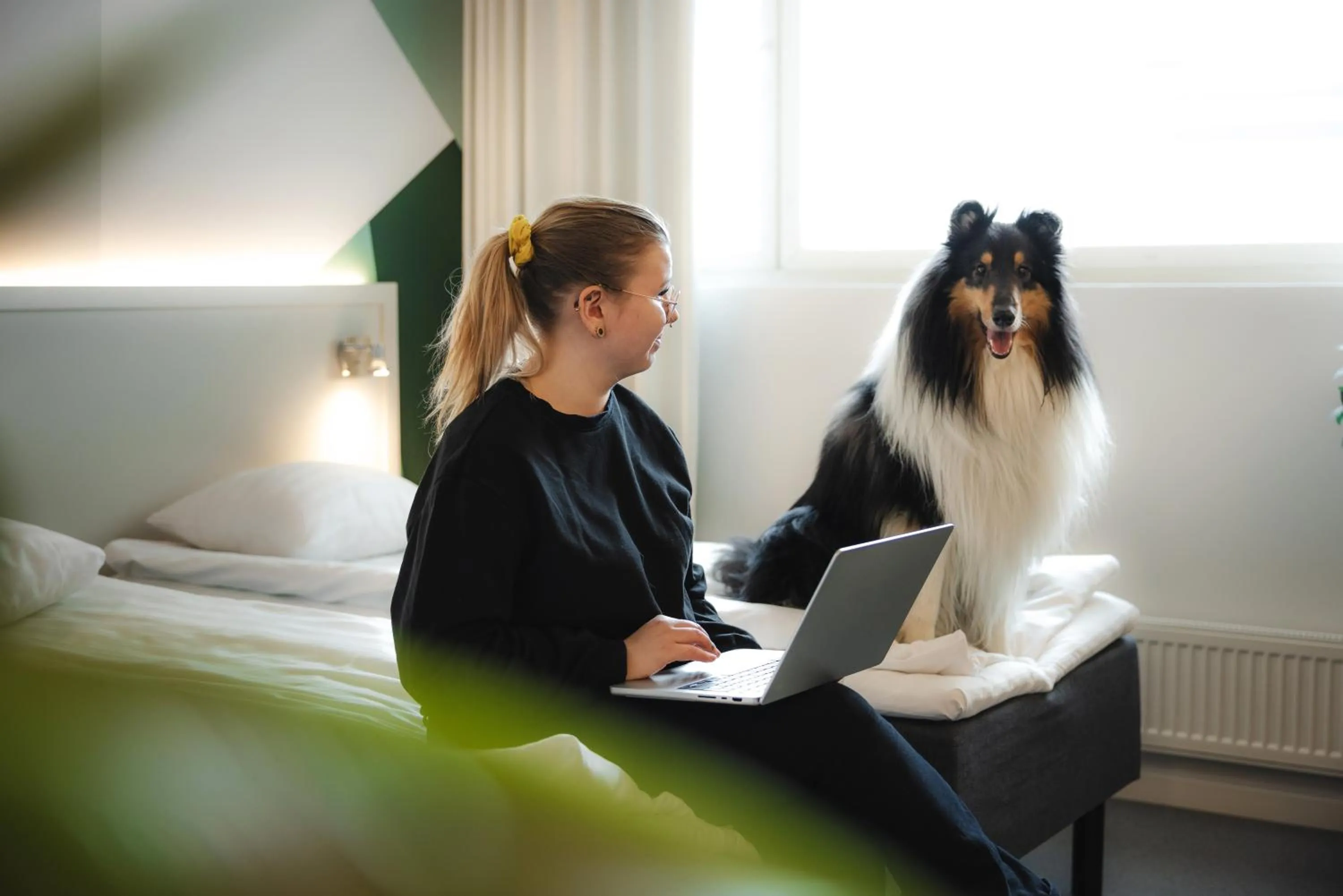 pet friendly in GreenStar Hotel Joensuu