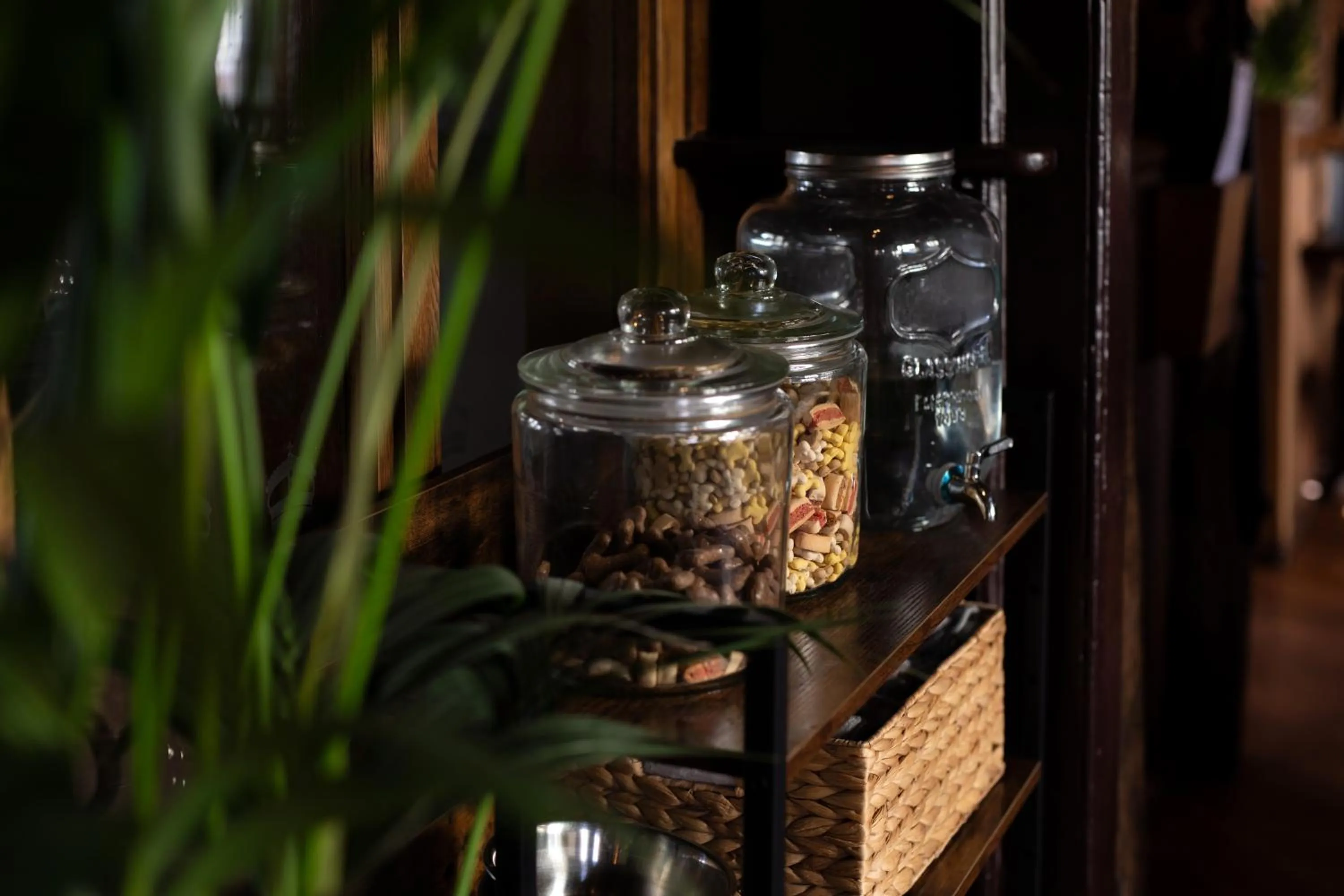 Lounge or bar in The Crown Inn