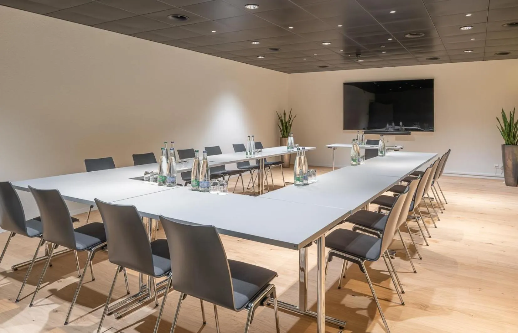 Meeting/conference room in Hotel Spirgarten