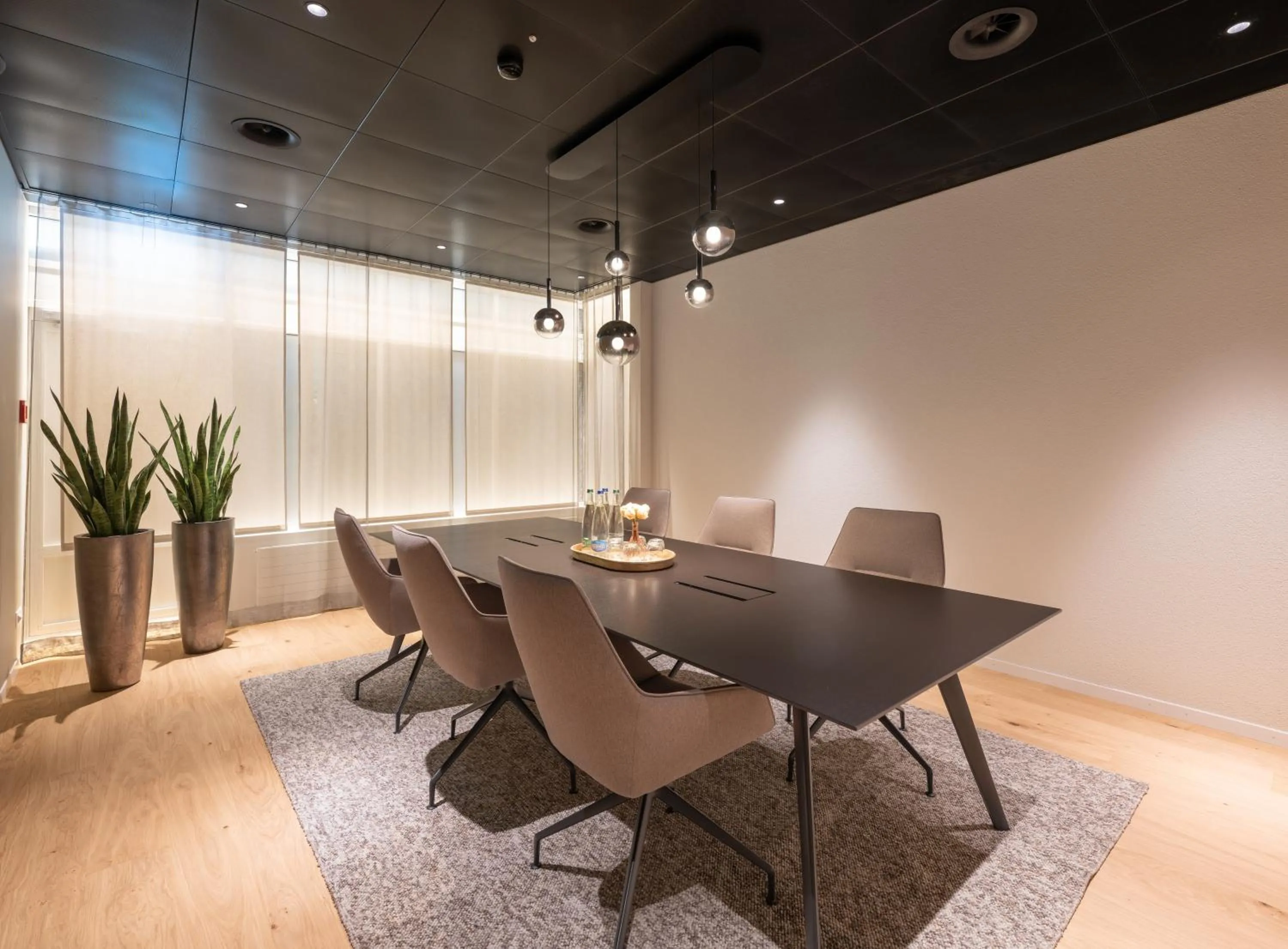 Meeting/conference room in Hotel Spirgarten