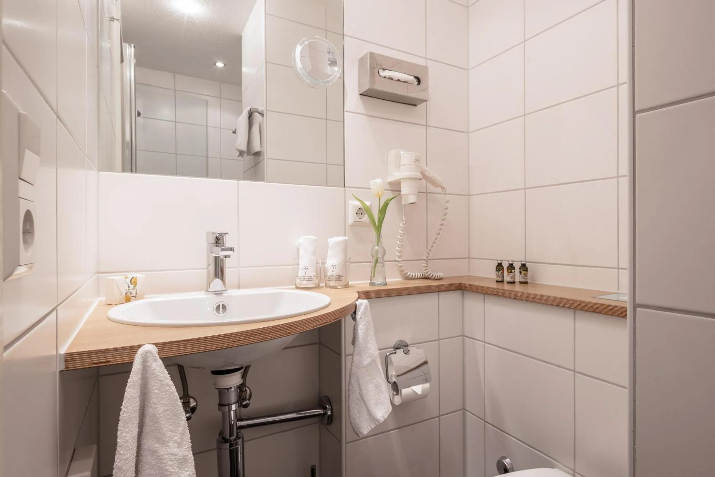 Bathroom in Villa Neugarten