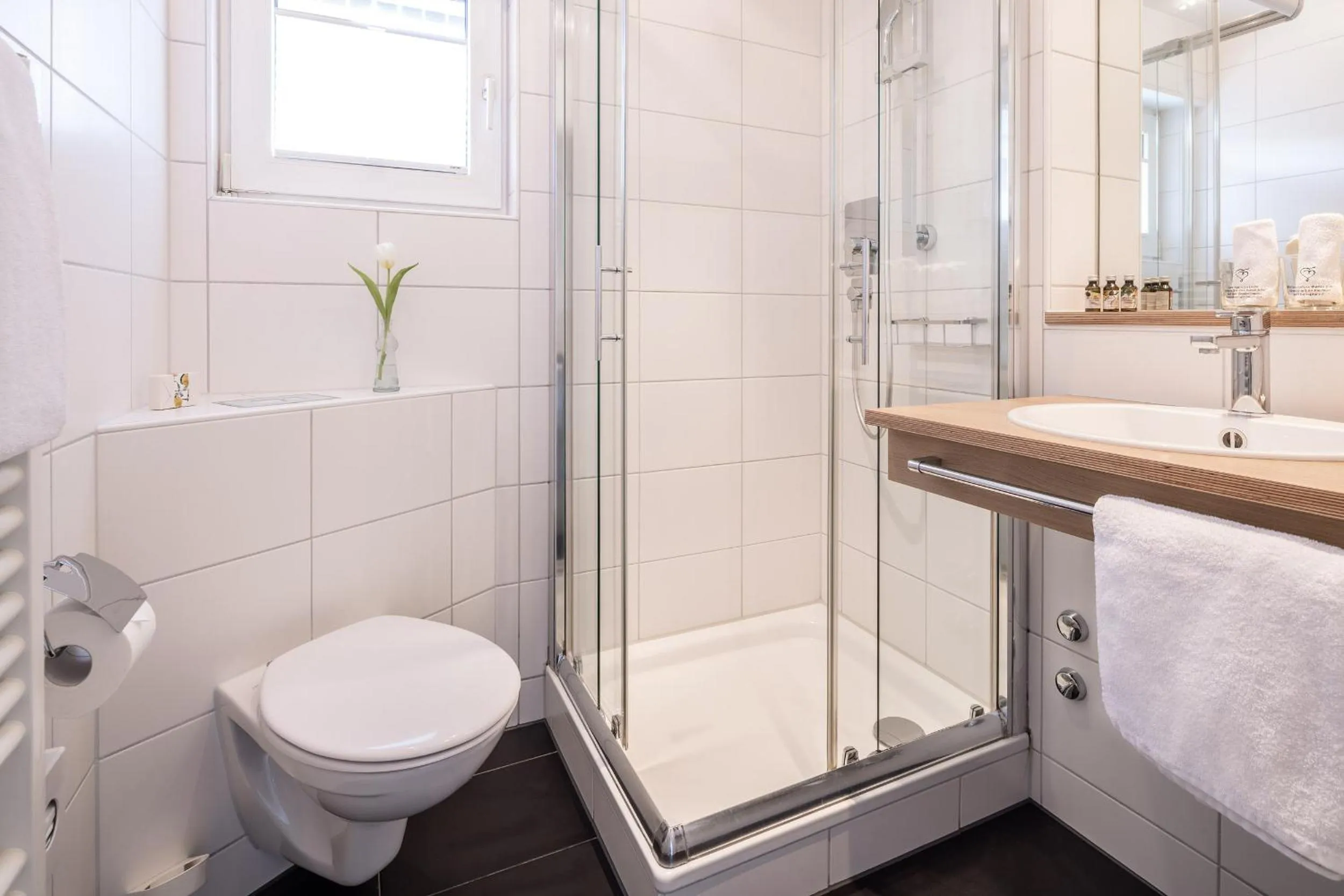 Bathroom in Villa Neugarten
