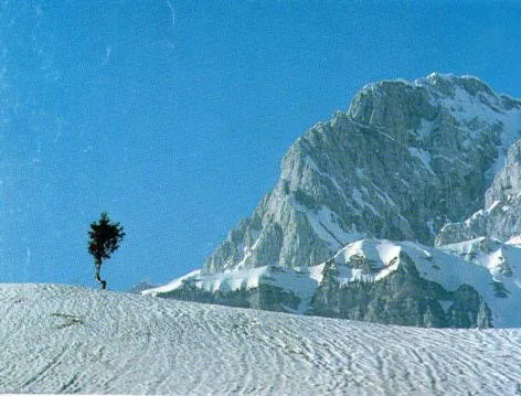 Day in Hotel Serenella