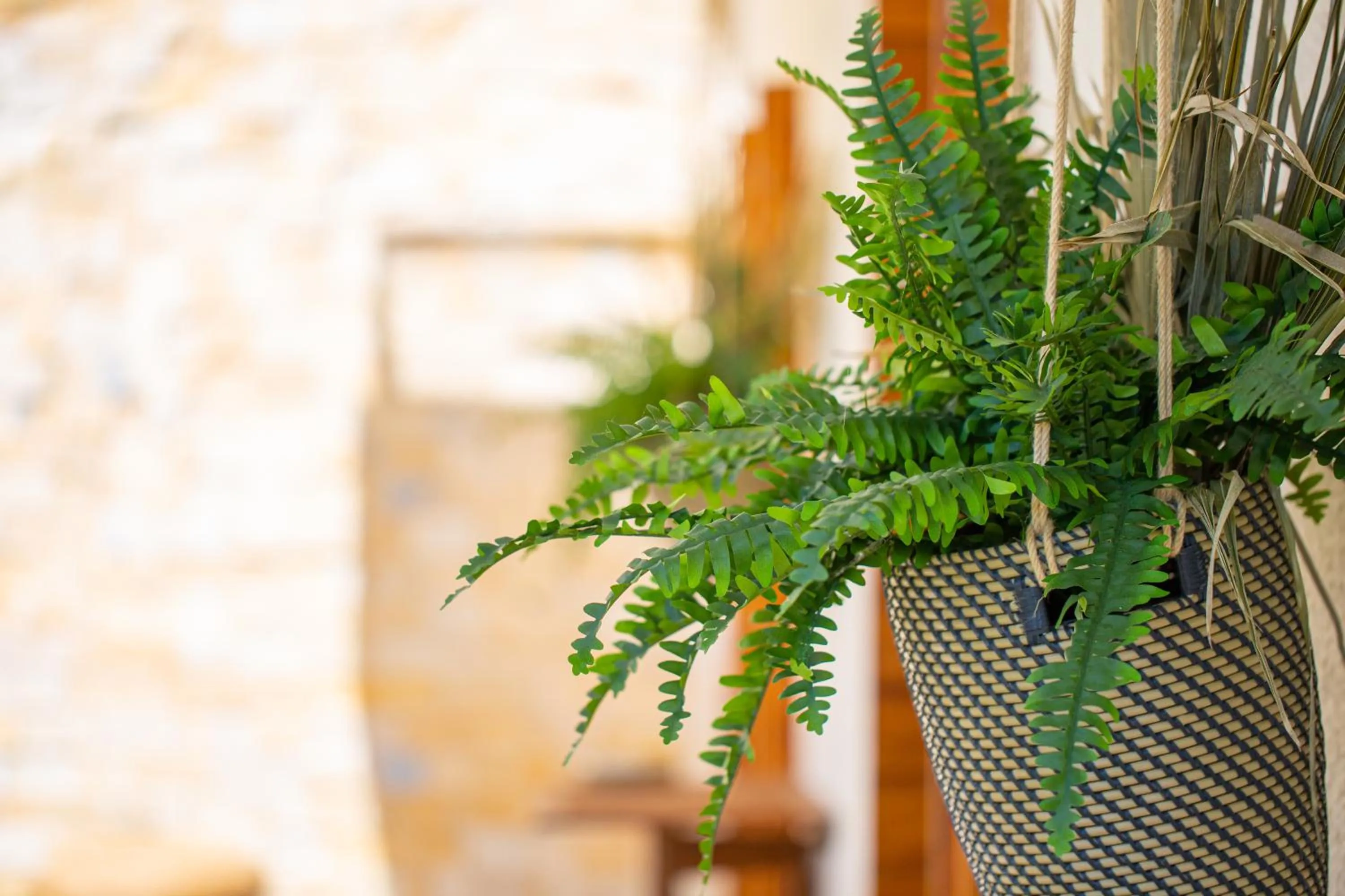 Garden in Residenze Longhi