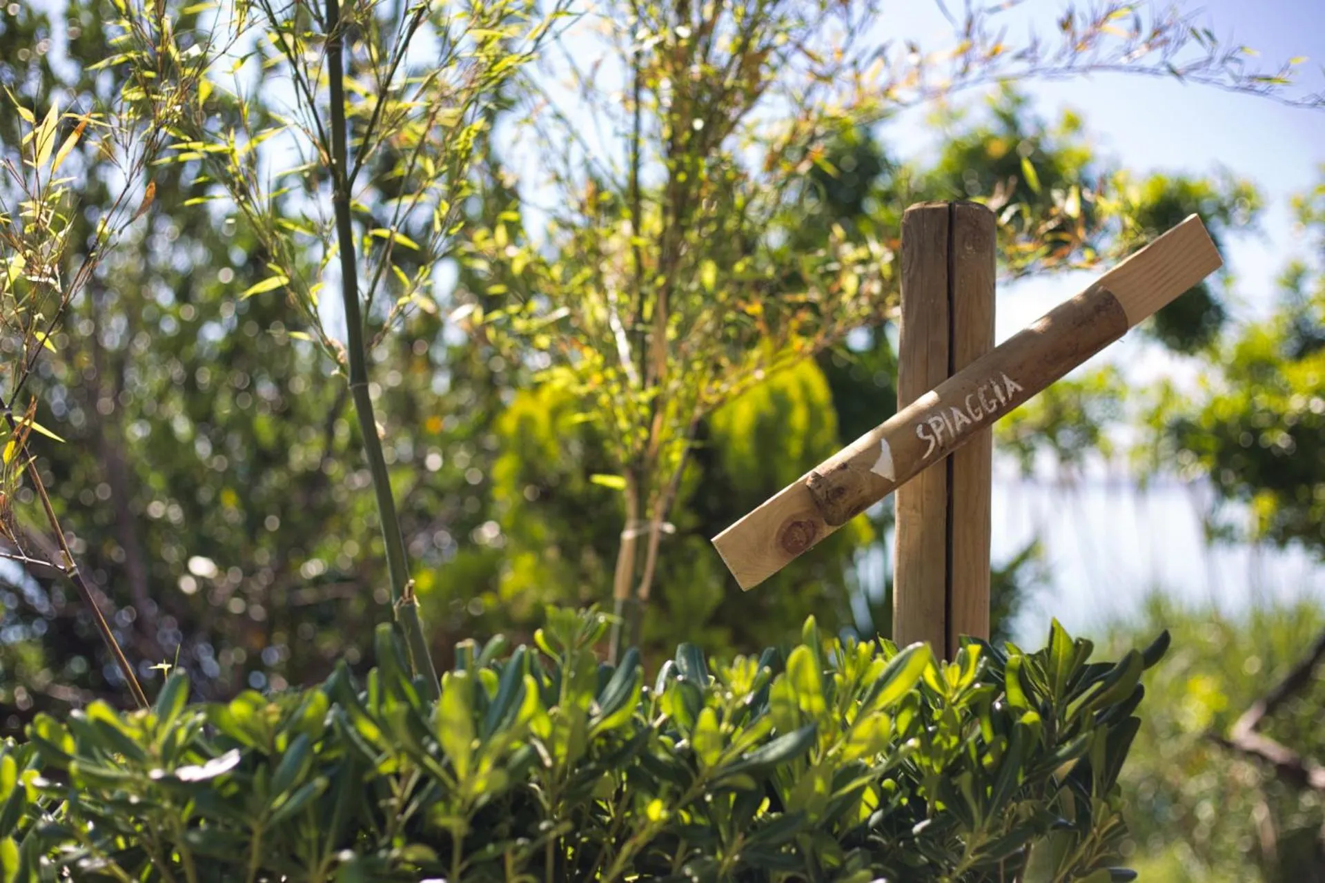 Natural landscape in Residenze Longhi
