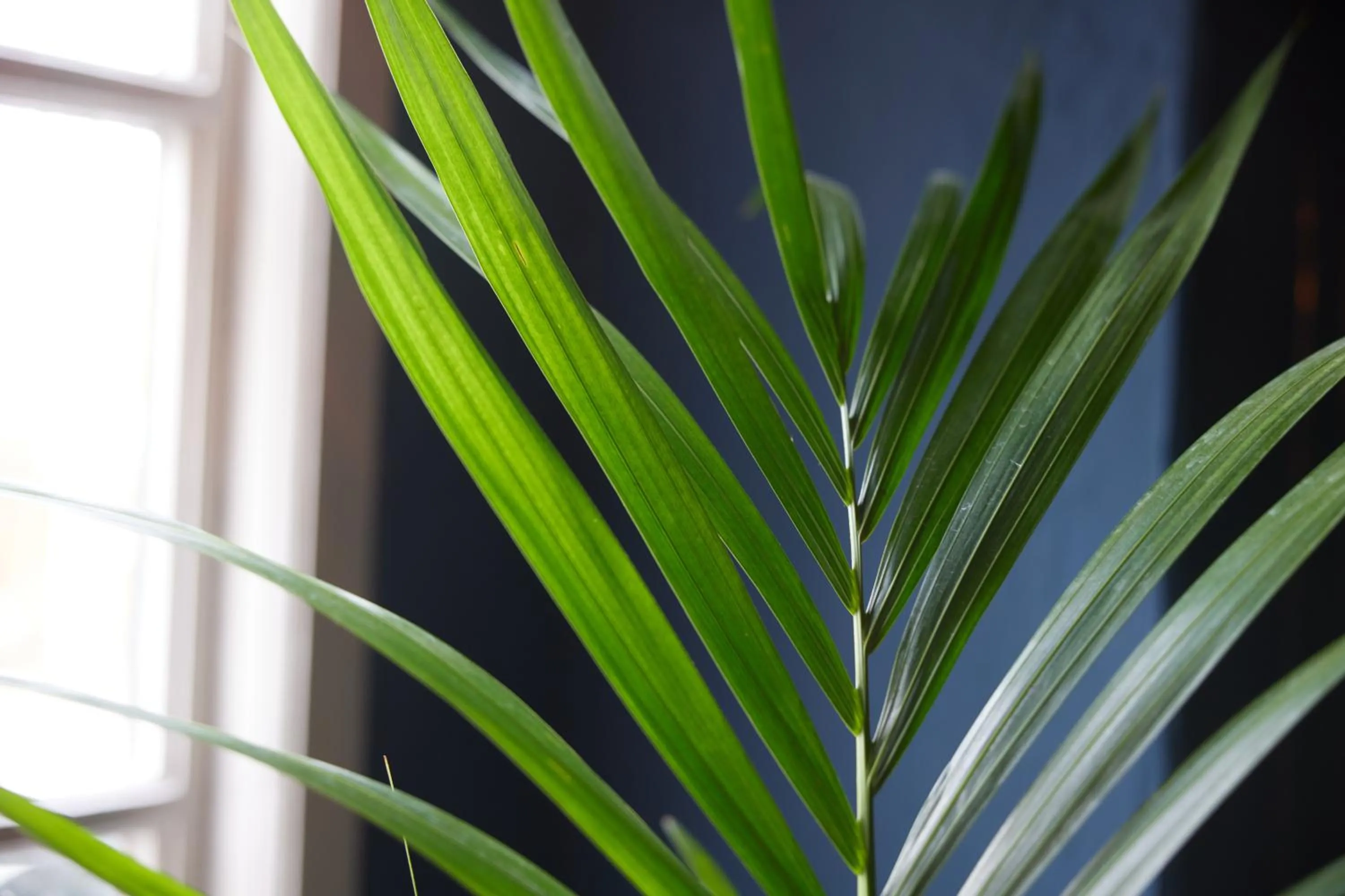 Decorative detail in Narborough Arms