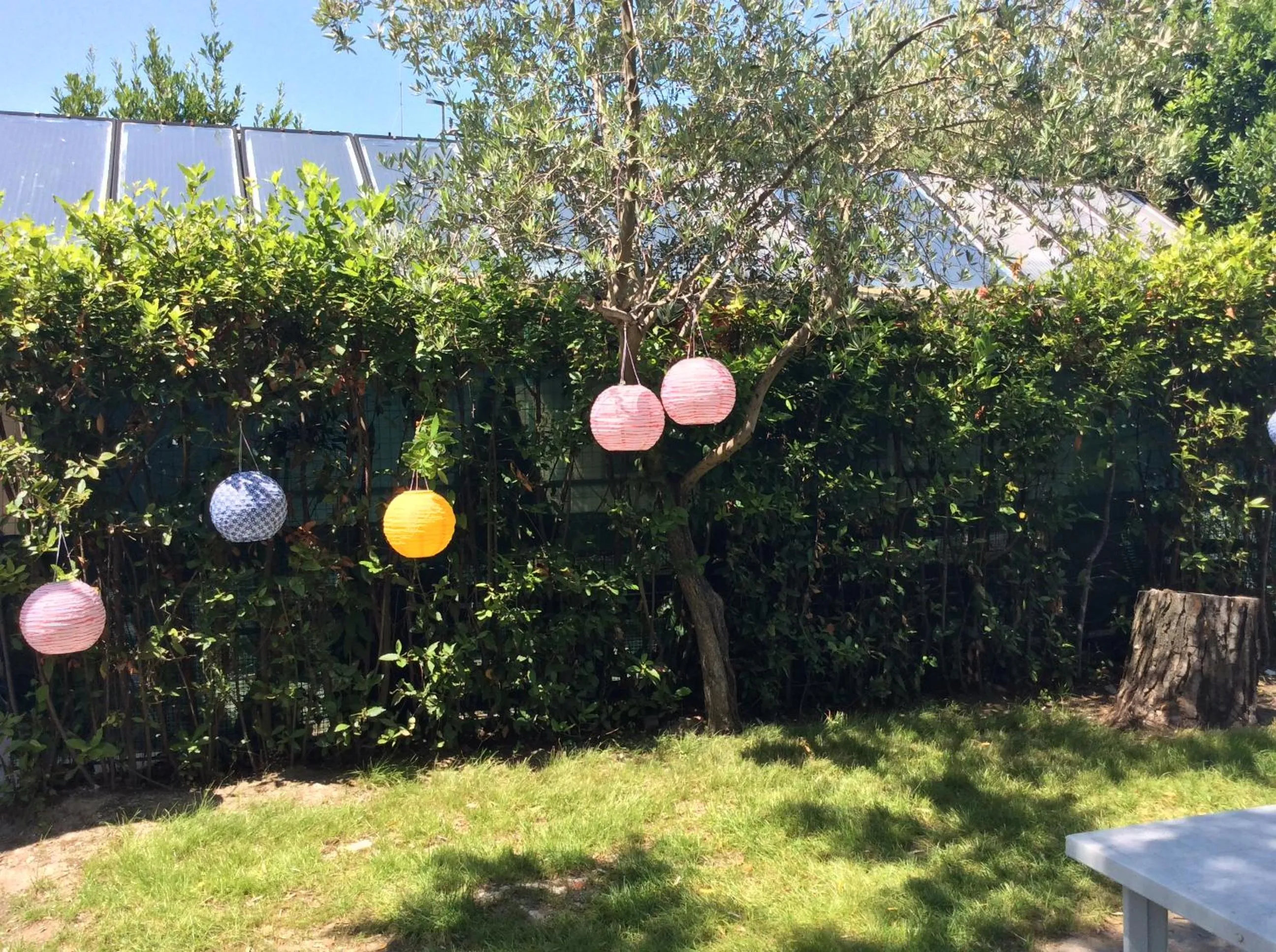 Garden in Hotel Mirage