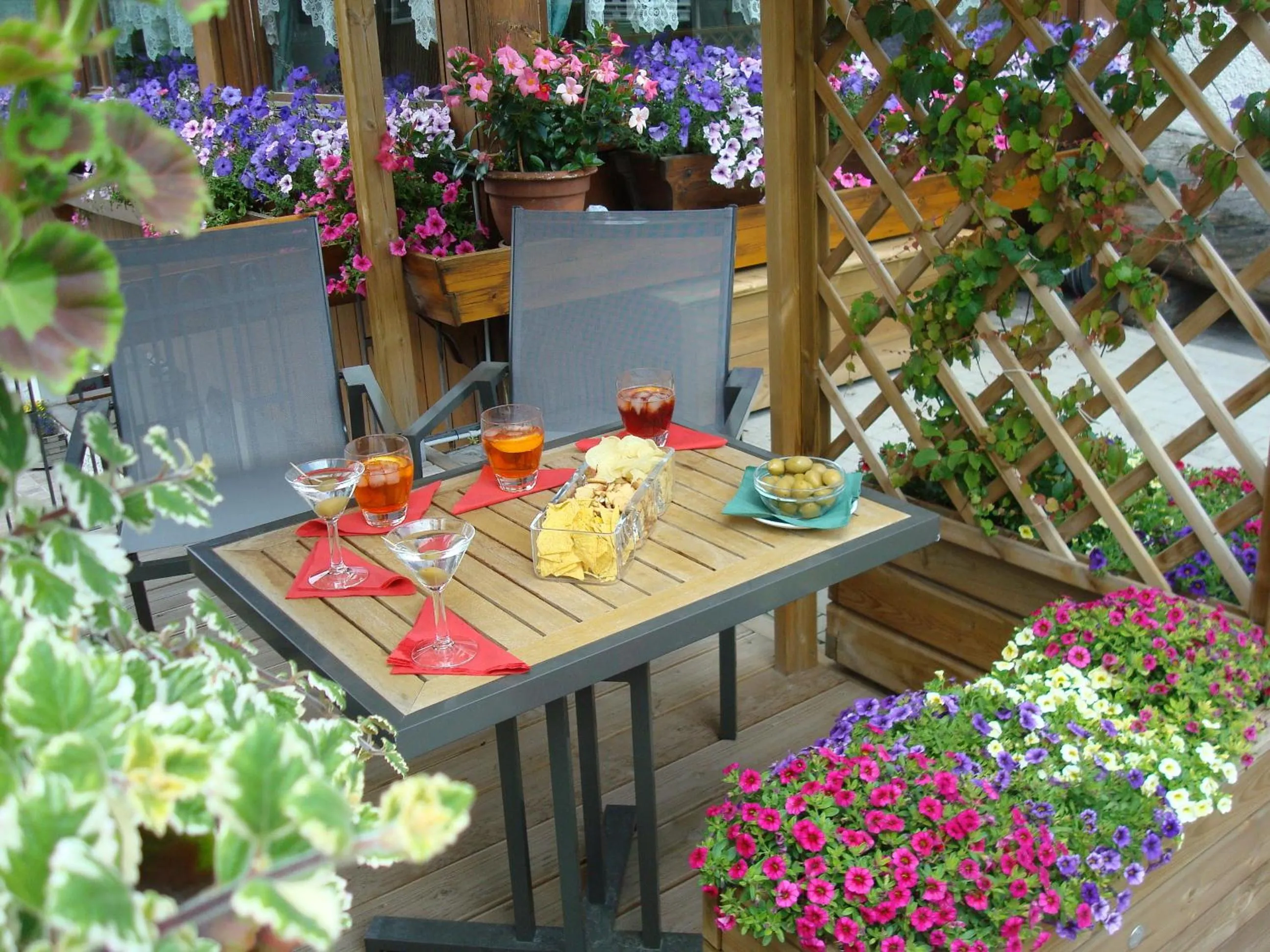 Patio in Hotel Villa Alpina ***S