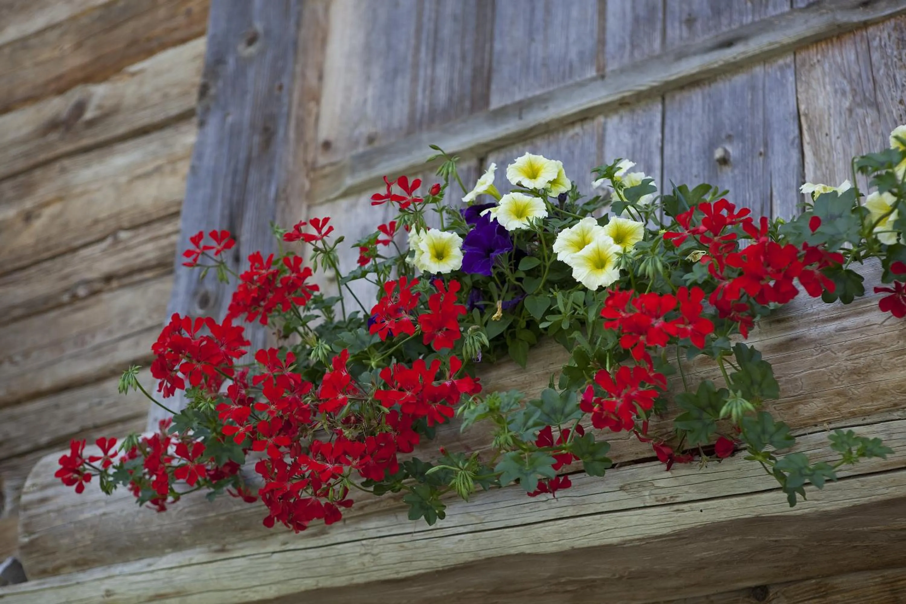 Facade/entrance in Chalet-Hôtel Les Fermes de Pierre & Anna