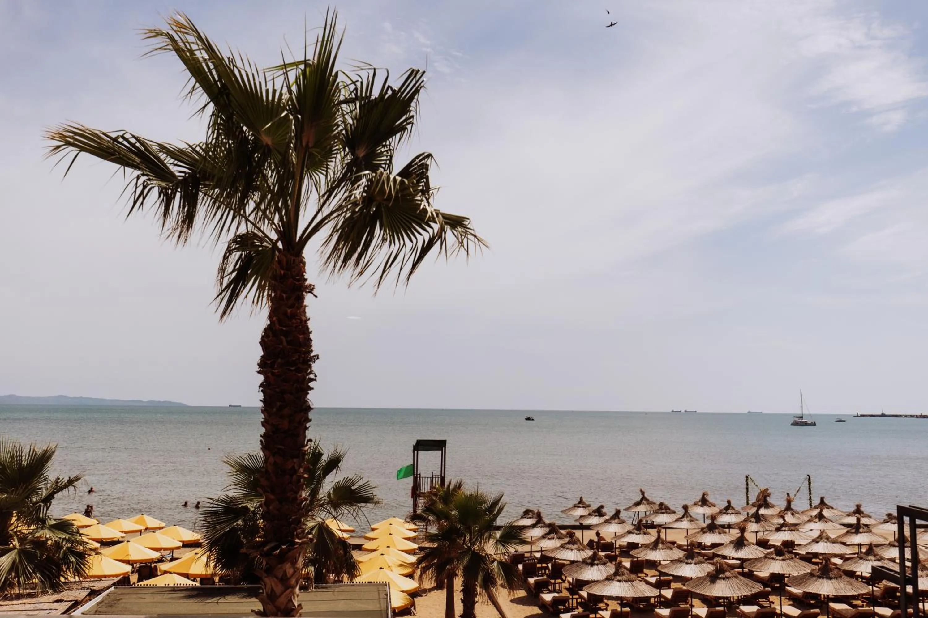 Beach in Royal G Hotel & SPA 4 Star