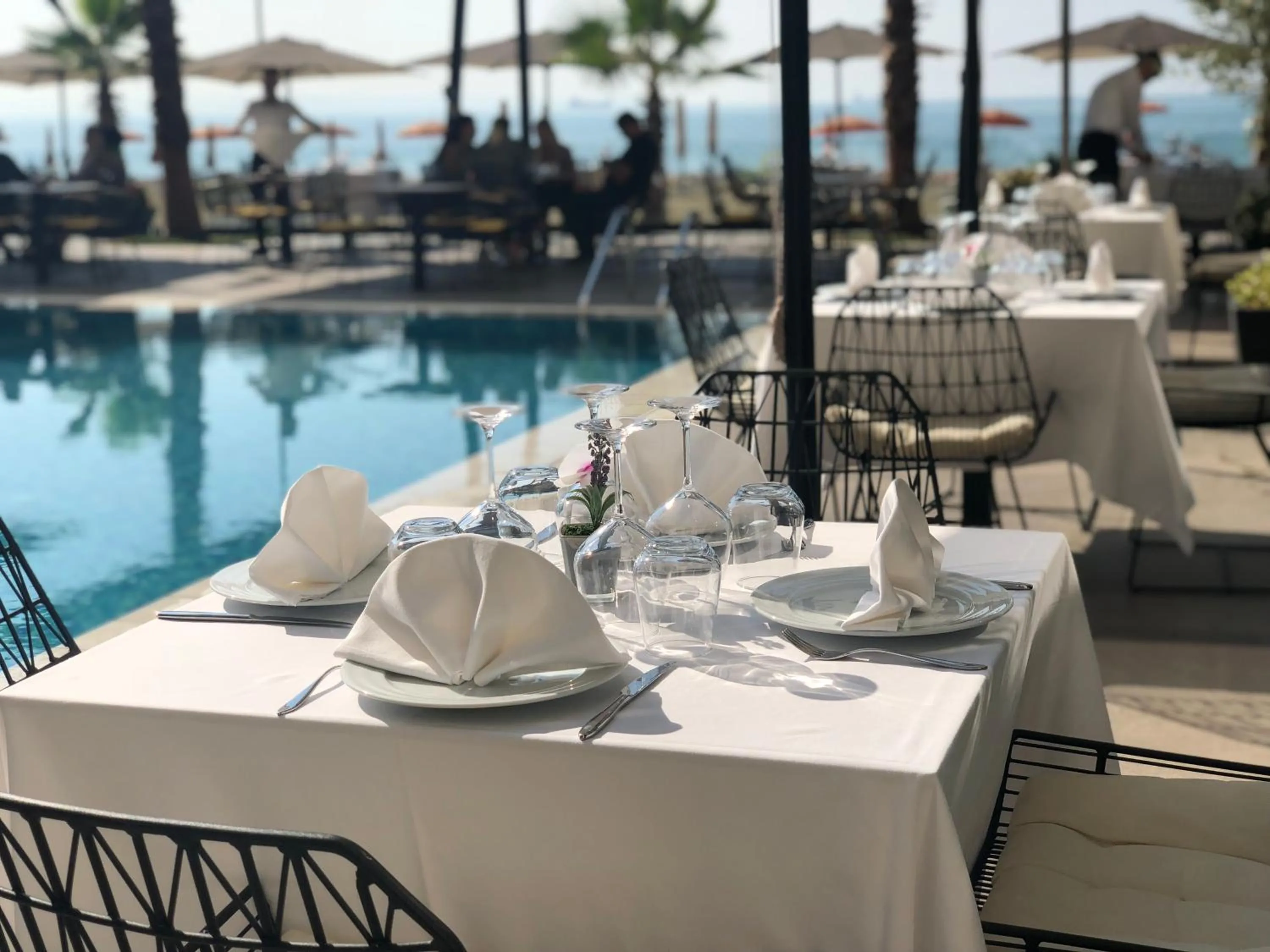 Restaurant/places to eat in Royal G Hotel & SPA 4 Star