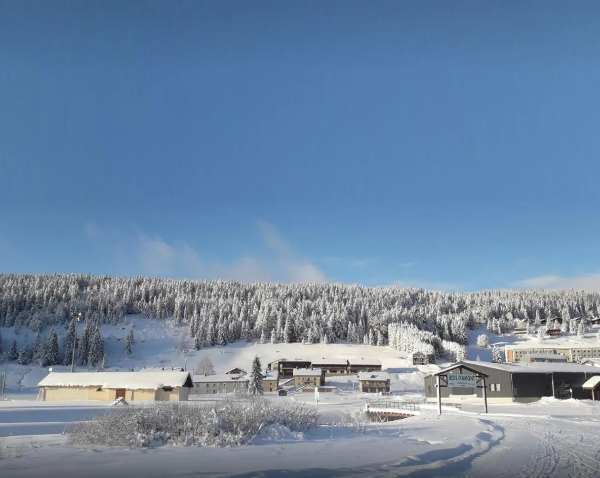 Property building in Village club de Bois d'Amont