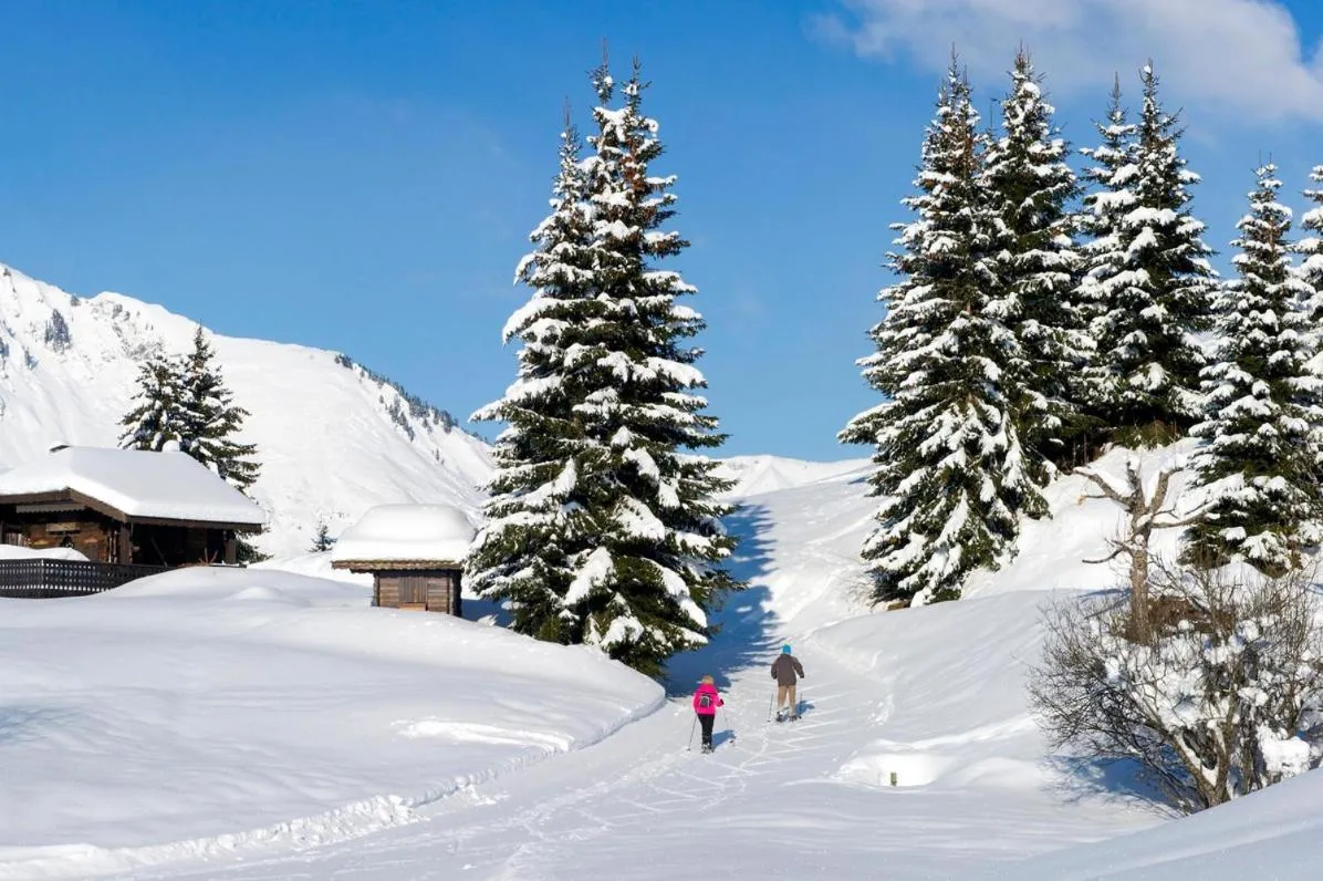 Winter in Village club de Bois d'Amont