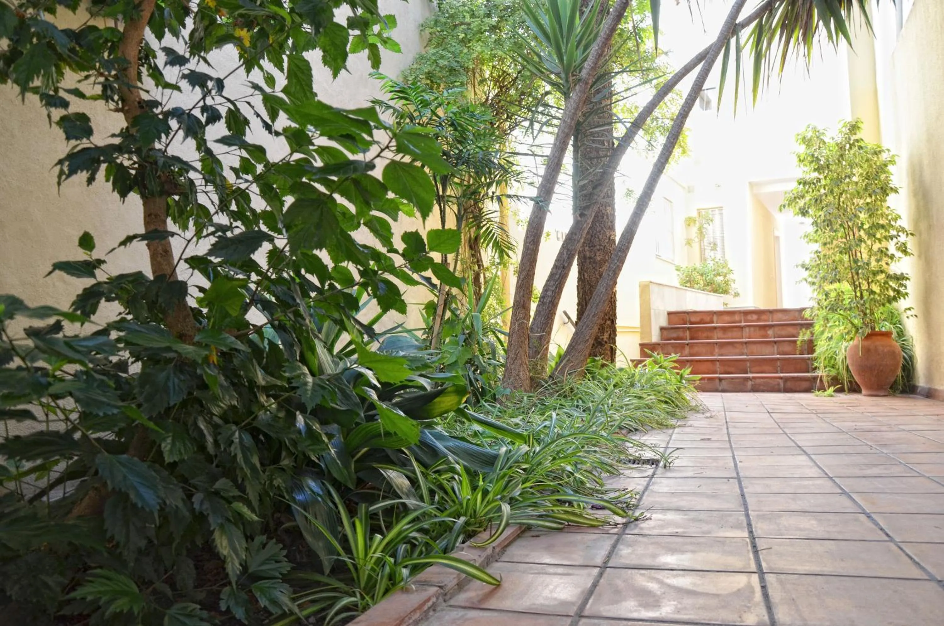 Day in Hotel El Coloso