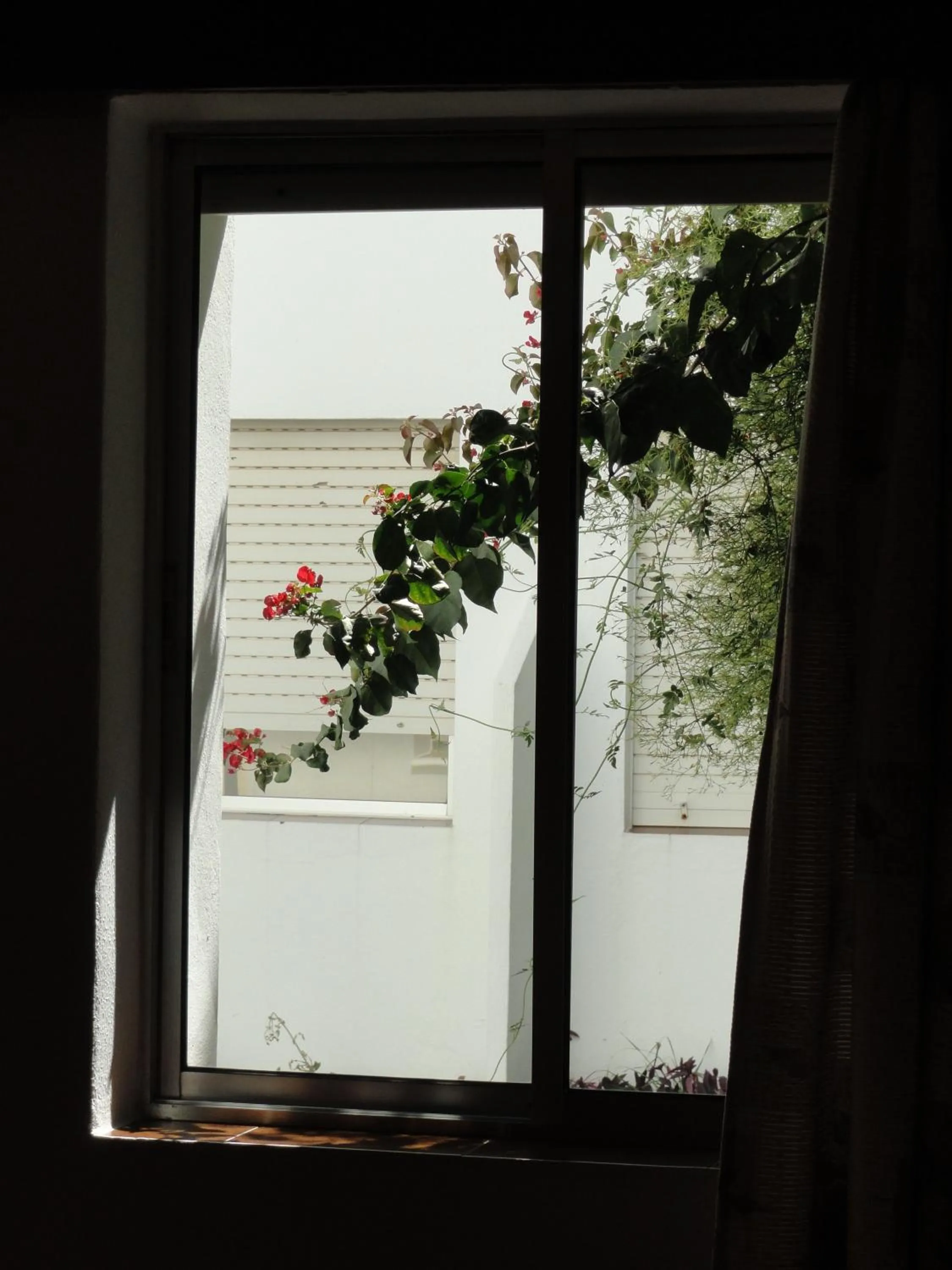 Day in Hotel El Coloso