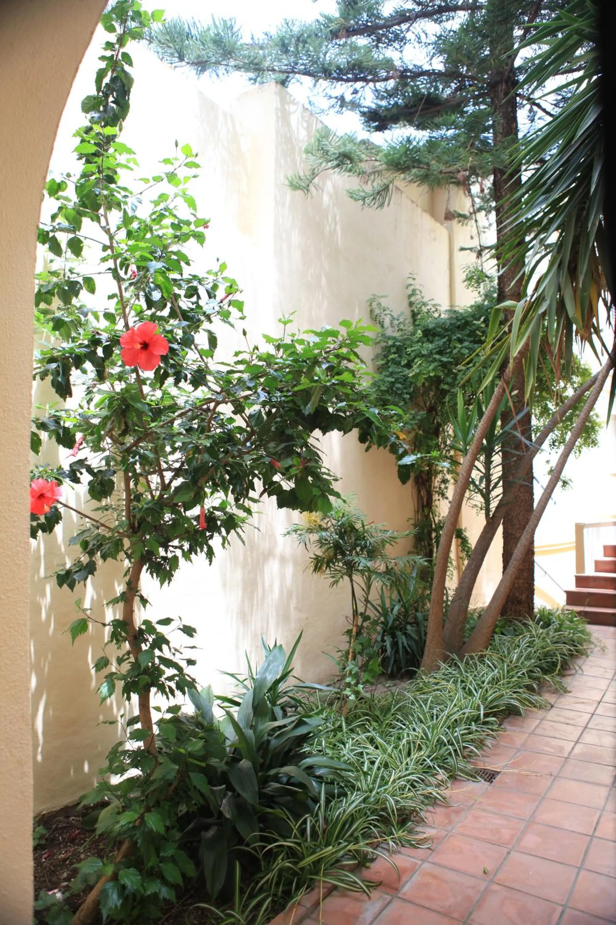 Day in Hotel El Coloso