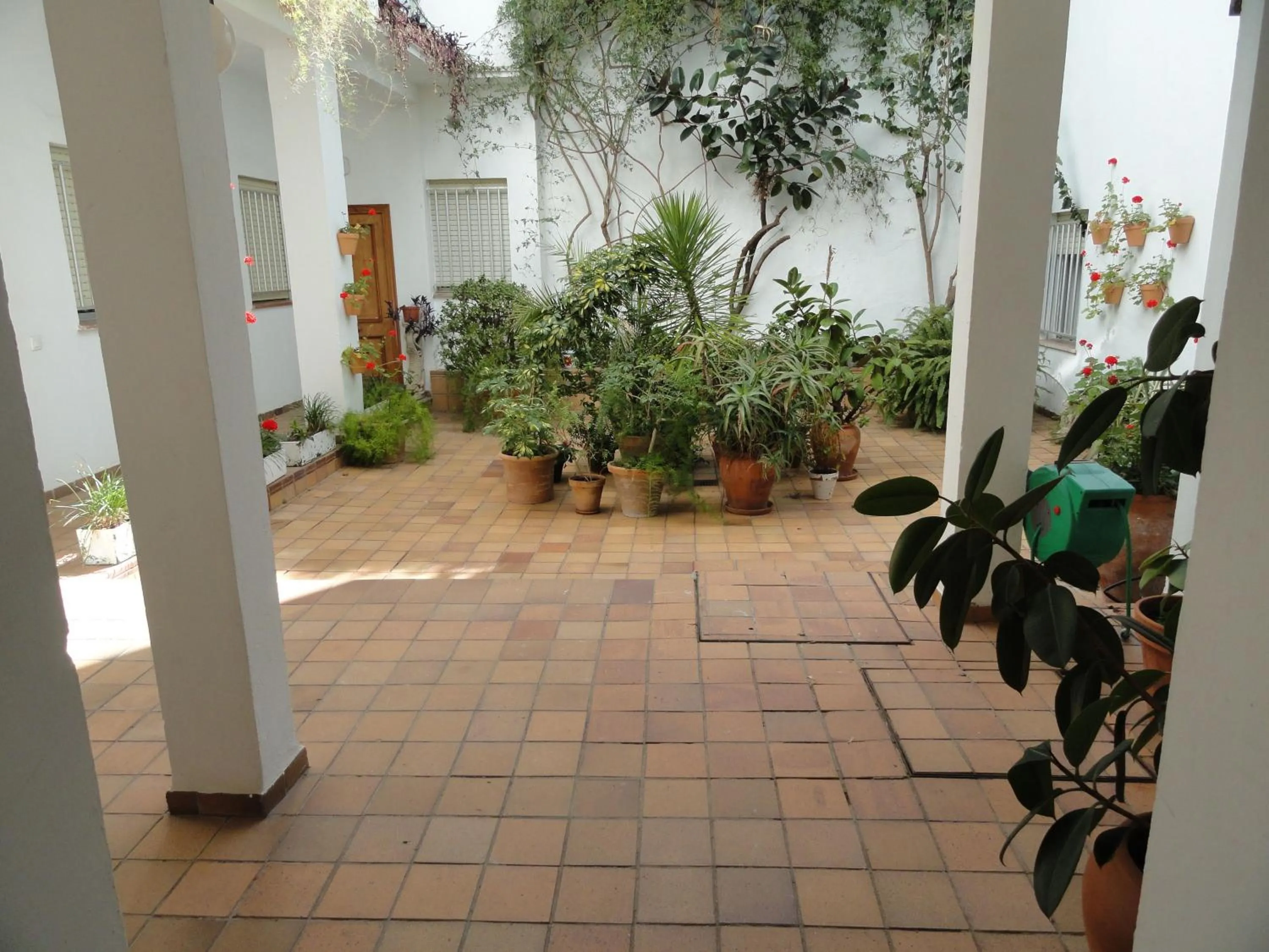 Other in Hotel El Coloso