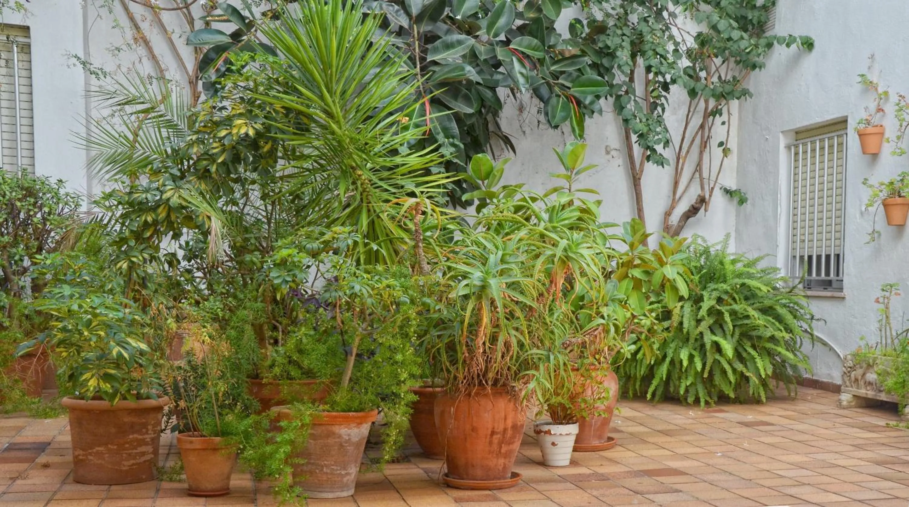 Other in Hotel El Coloso