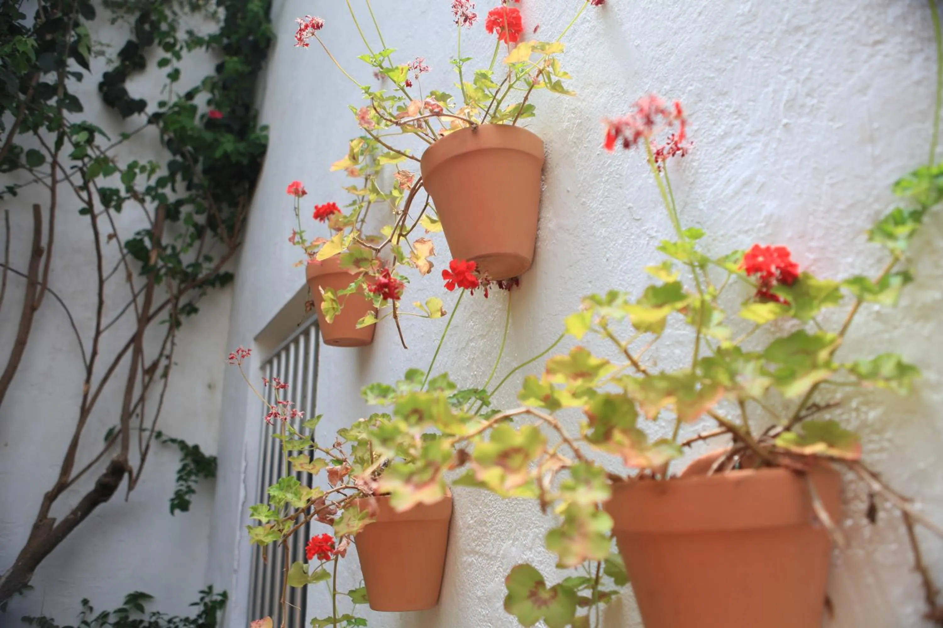 Decorative detail in Hotel El Coloso