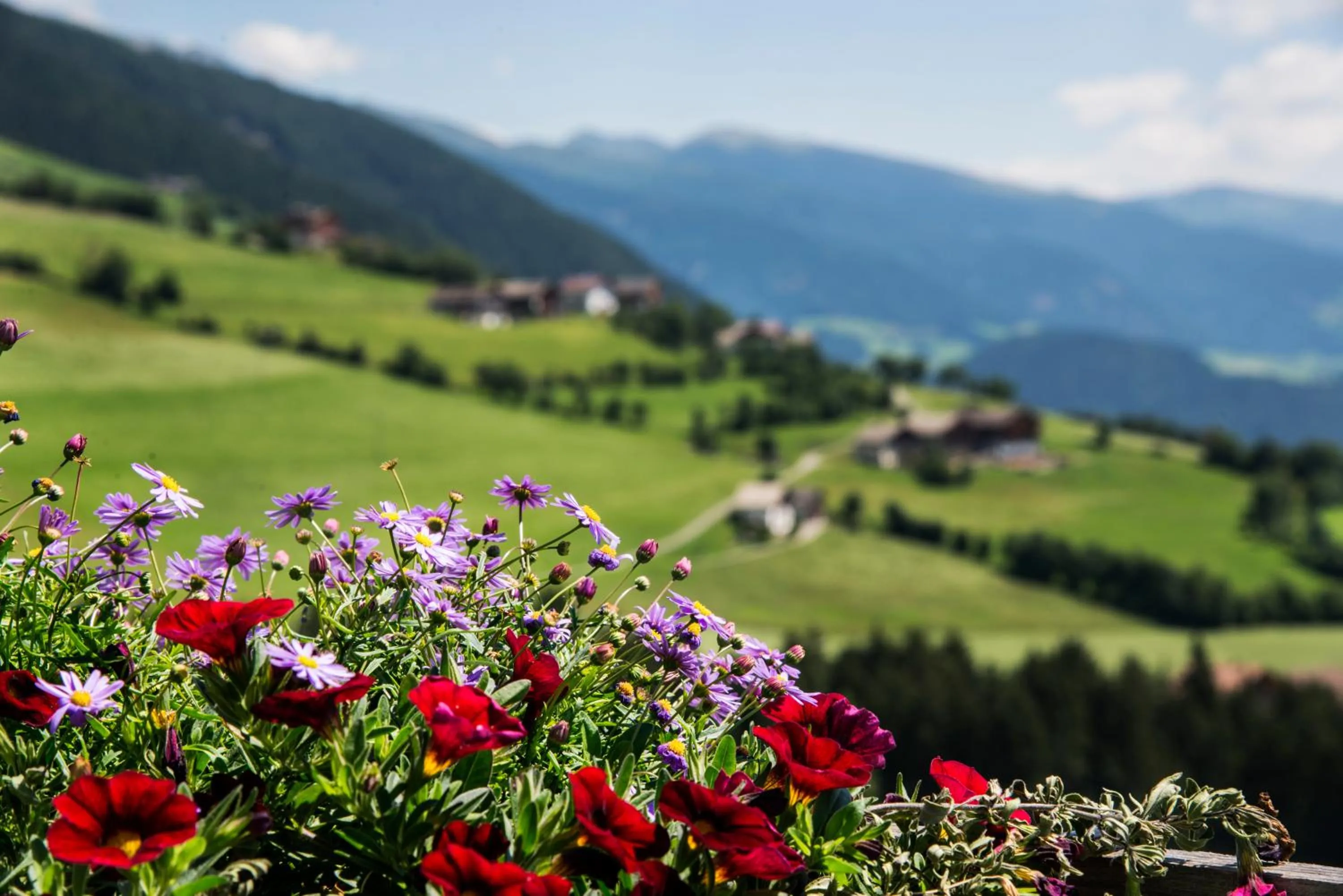 Natural landscape in Pension Wiesenrain